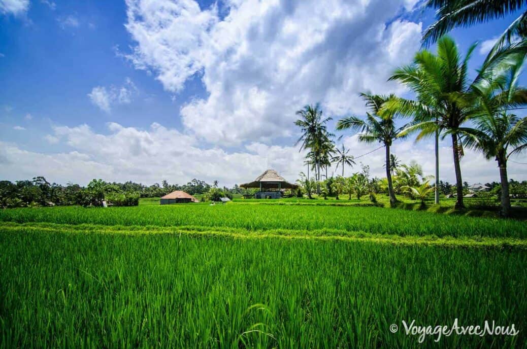que faire à ubud que faire à ubud