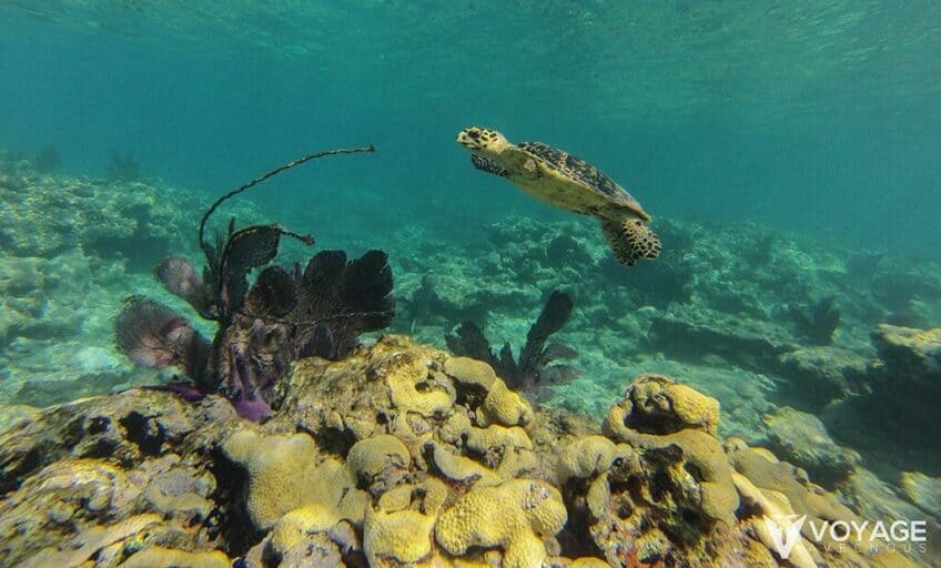 rencontre miami