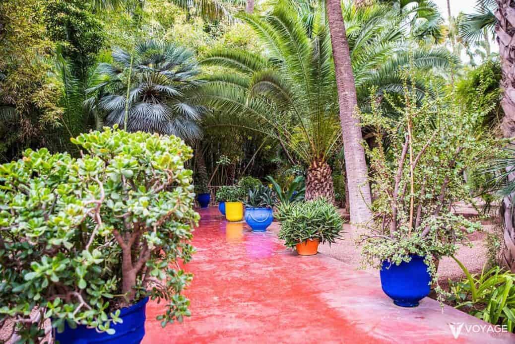 jardin-majorelle-marrakech jardin-majorelle-marrakech