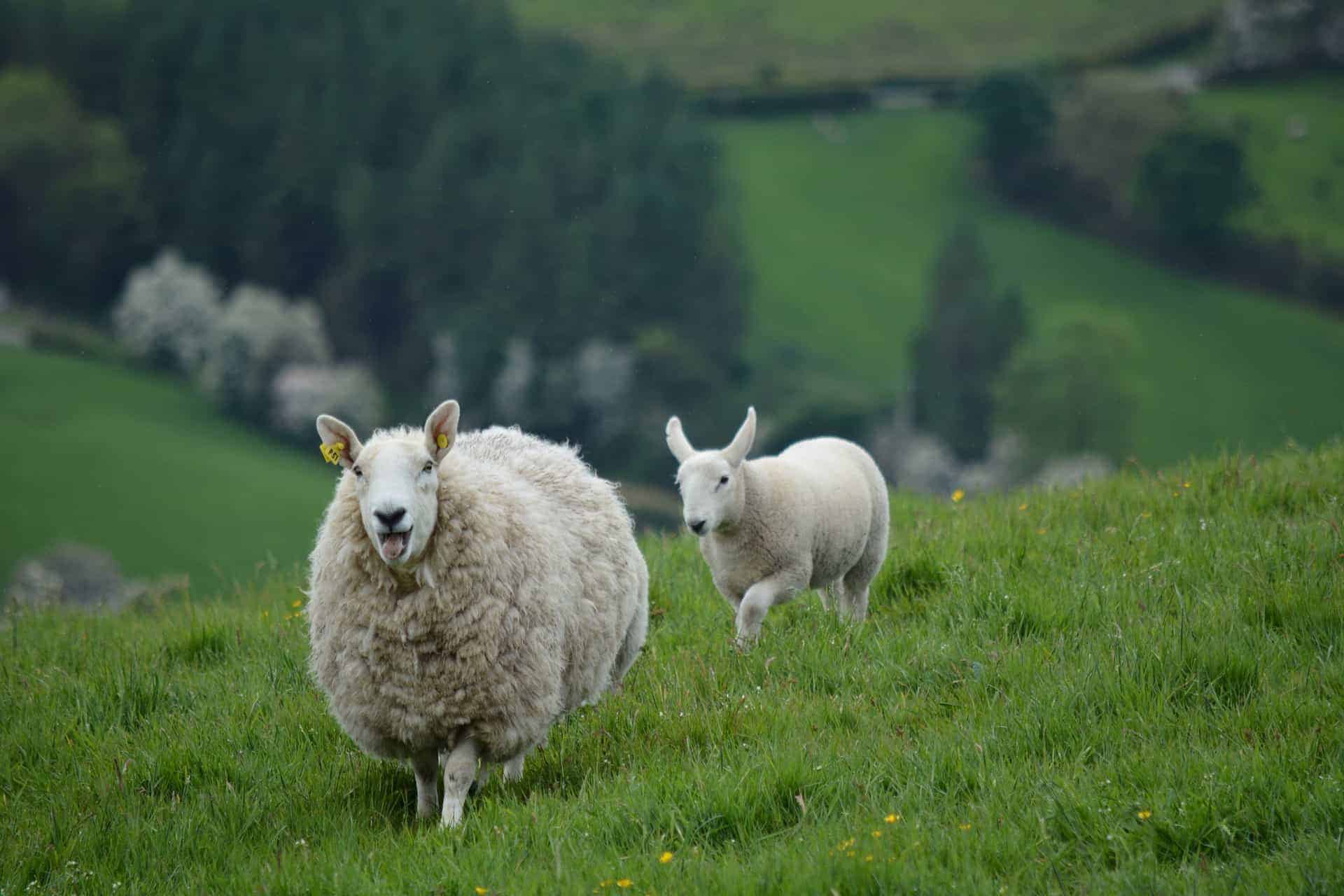 decouvrir irlande en camping car decouvrir irlande en camping car