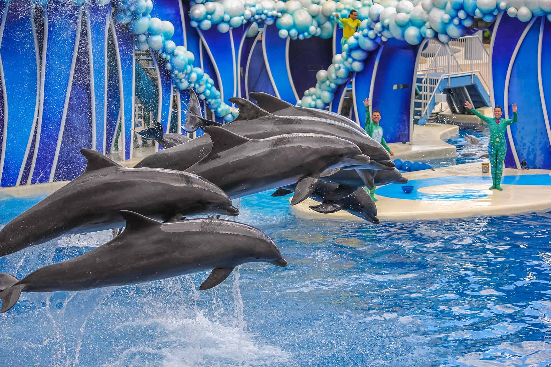 sea world orlando sea world orlando road trip en floride