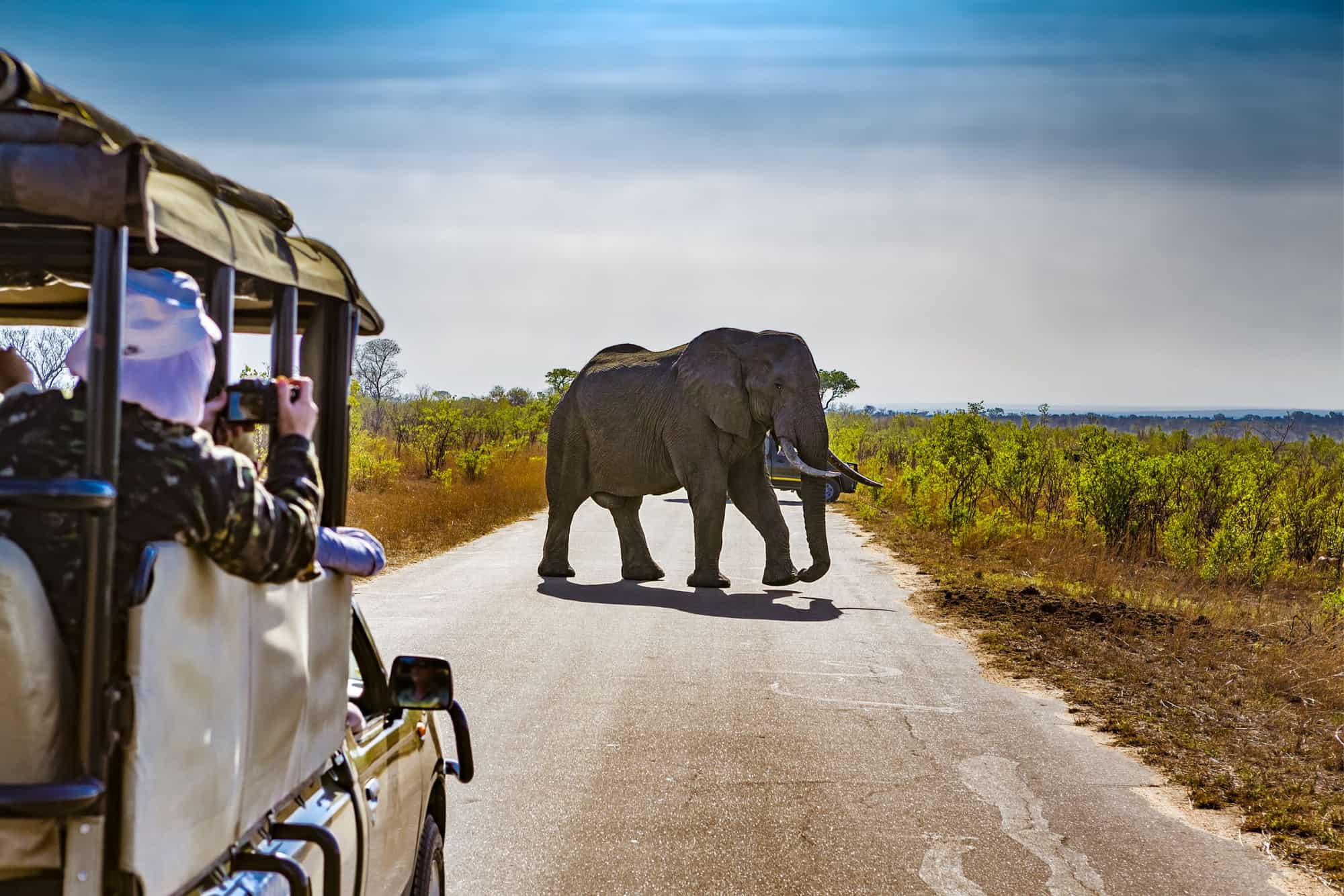 preparer son voyage en afrique du sud