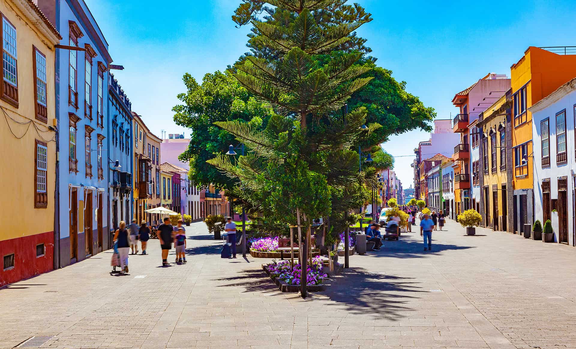 la laguna tenerife la laguna tenerife