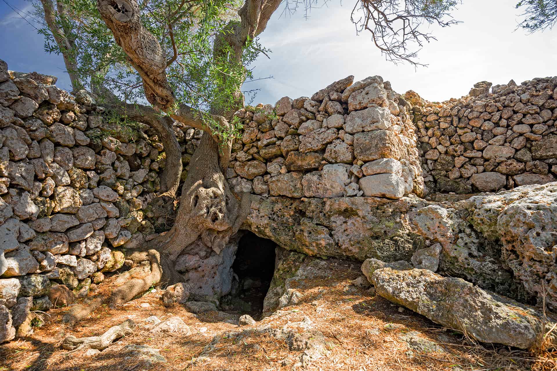 naveta des tudons naveta des tudons