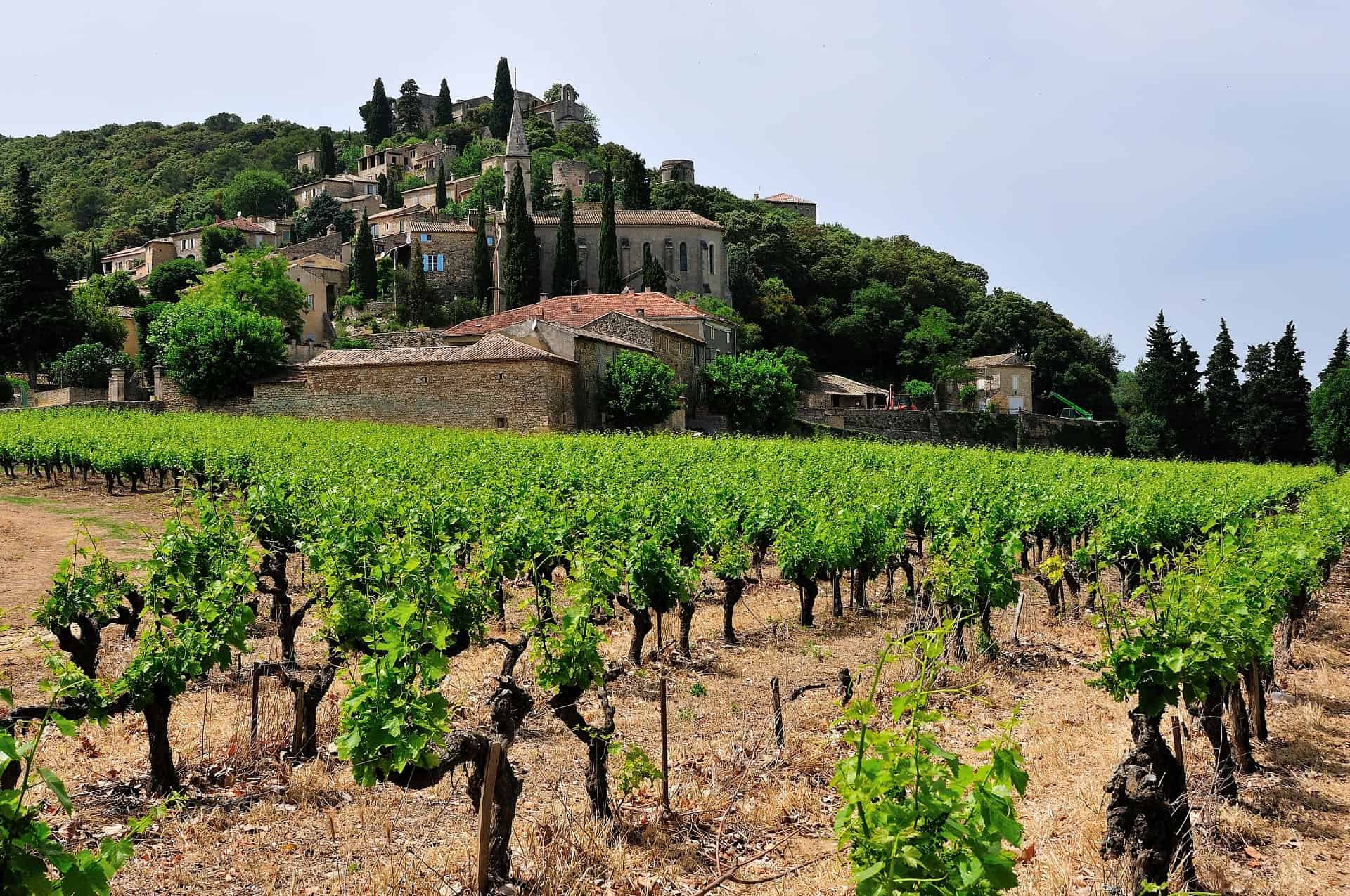 vignobles ardeche vignobles ardeche