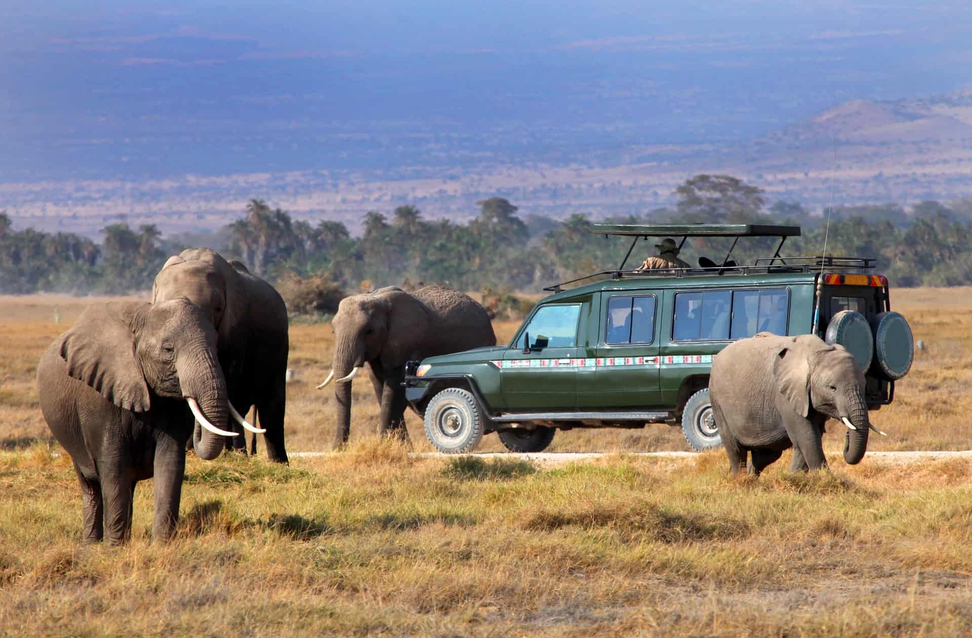 reserve masai mara reserve masai mara