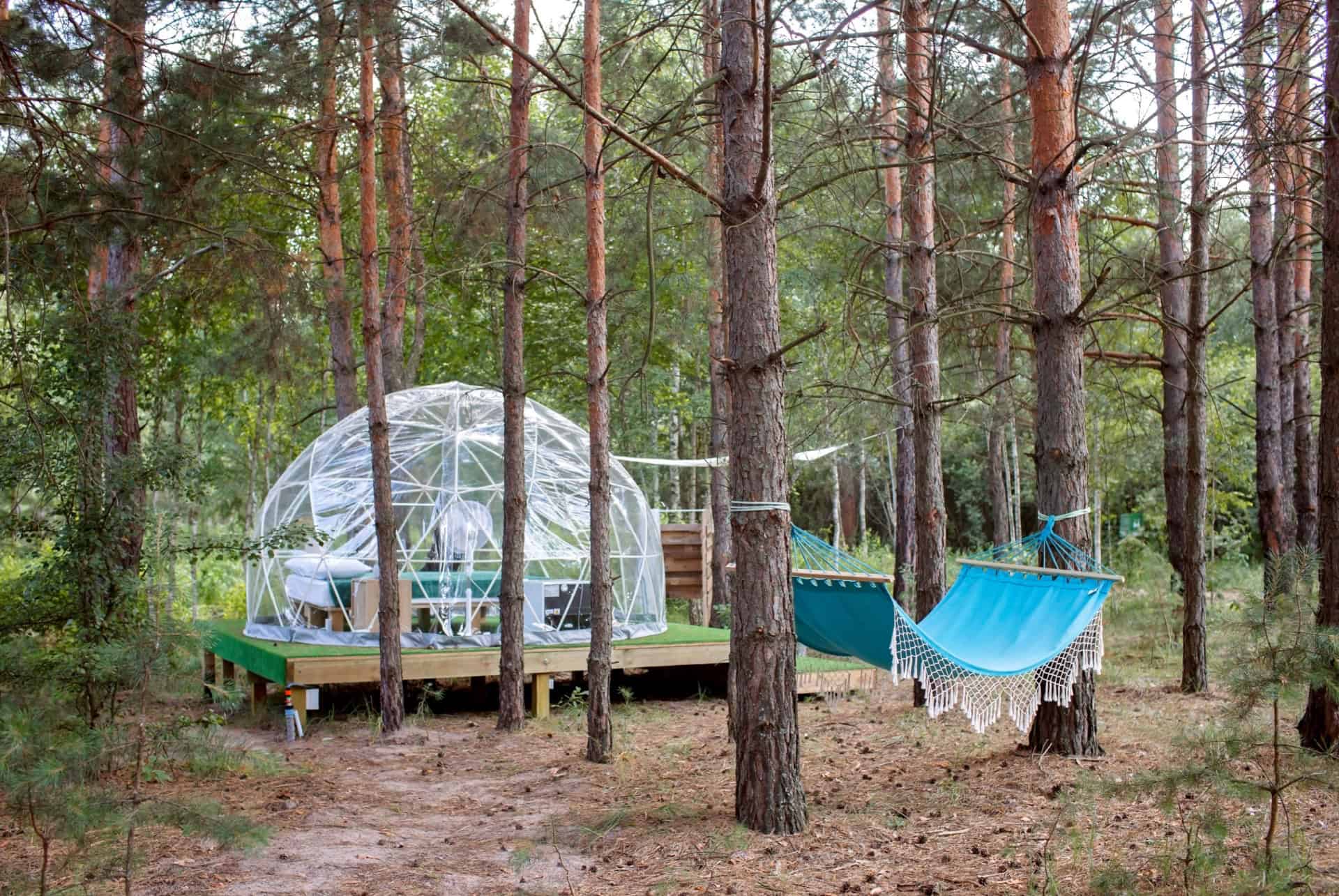 Bulle transparente installée en forêt Bulle transparente installée en forêt