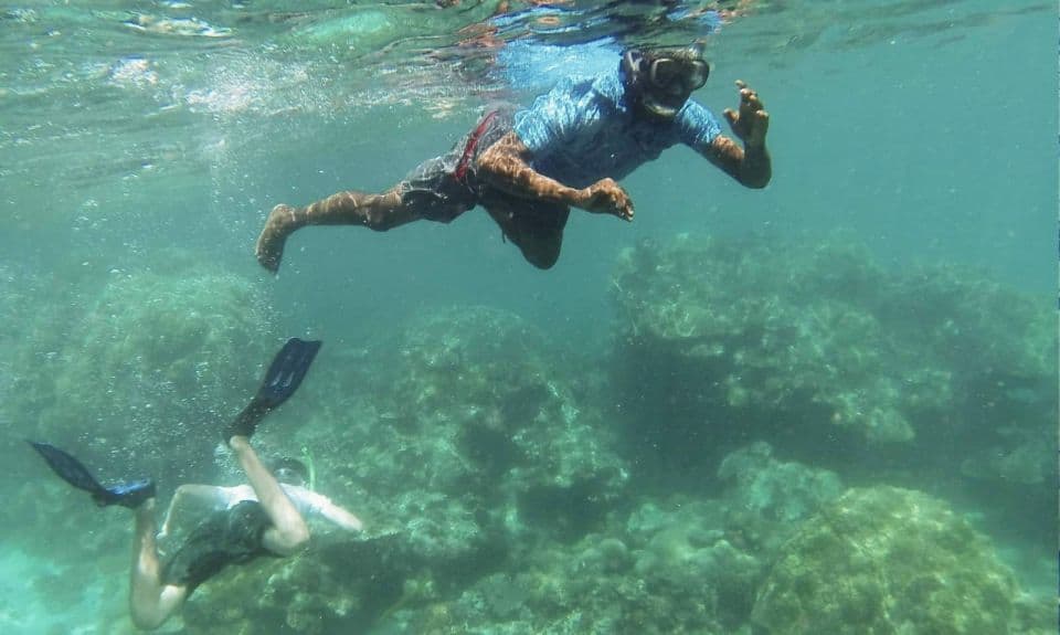 plongee zanzibar plongee zanzibar