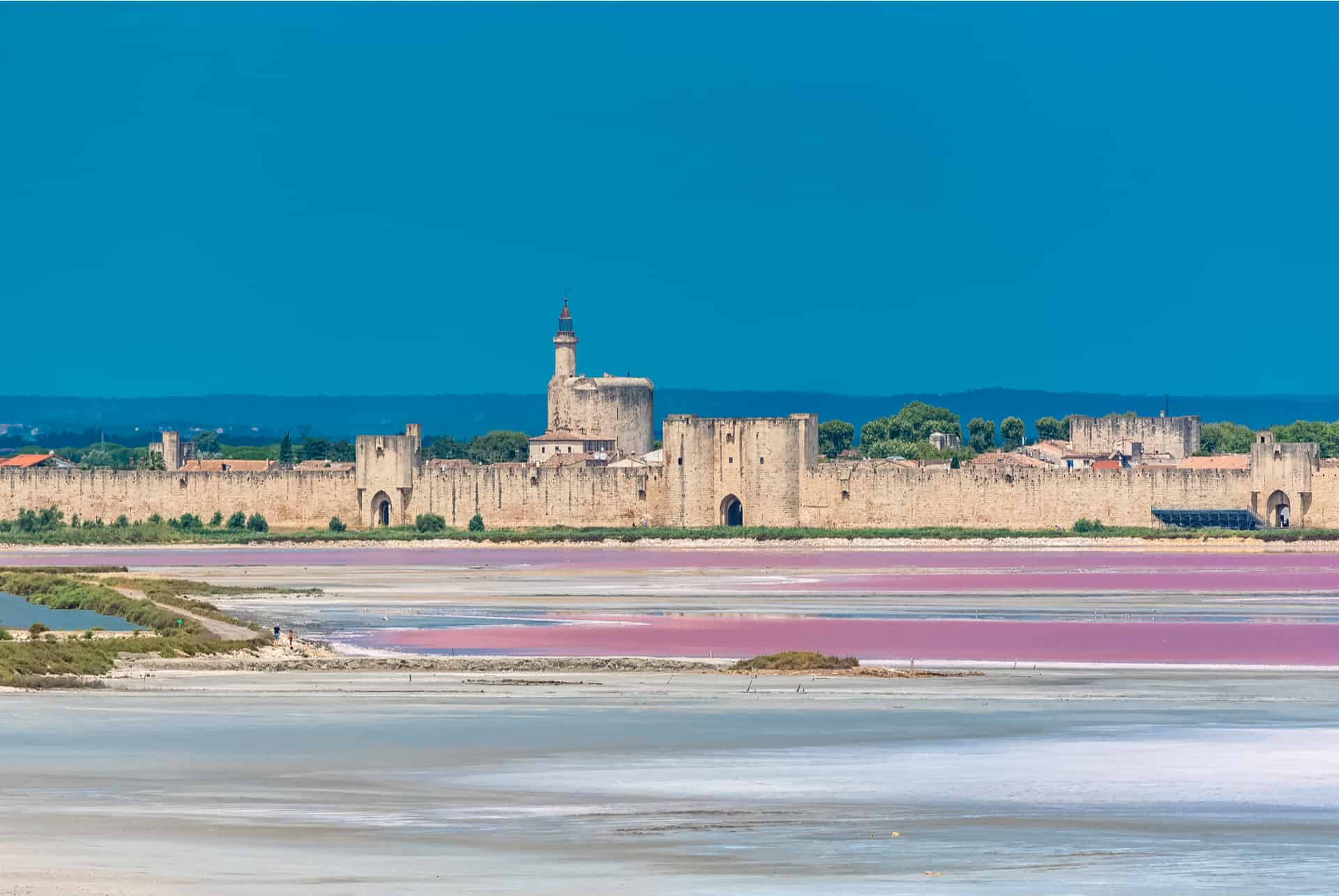 road trip en camargue road trip en camargue