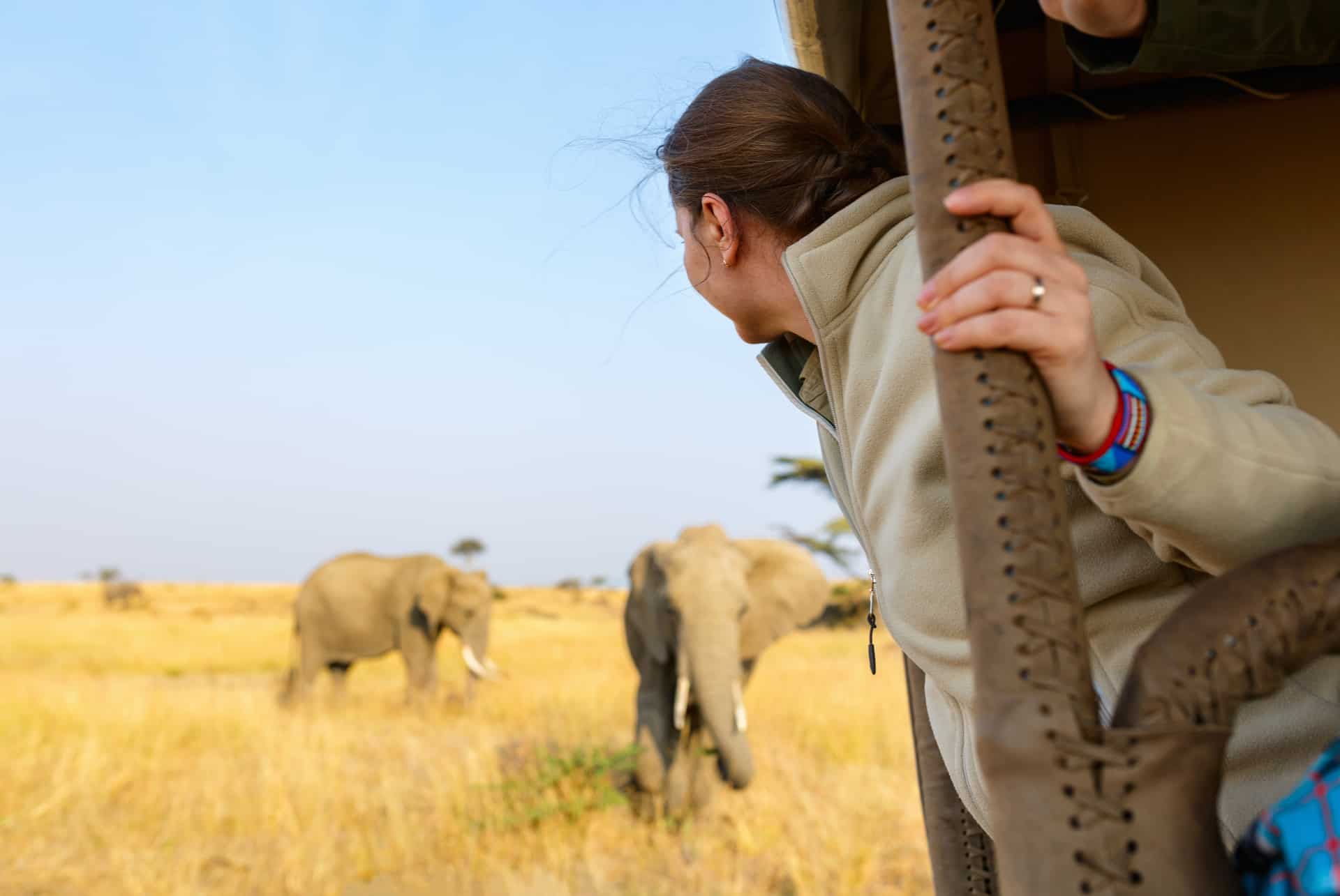 prevoir budget safari prevoir budget safari