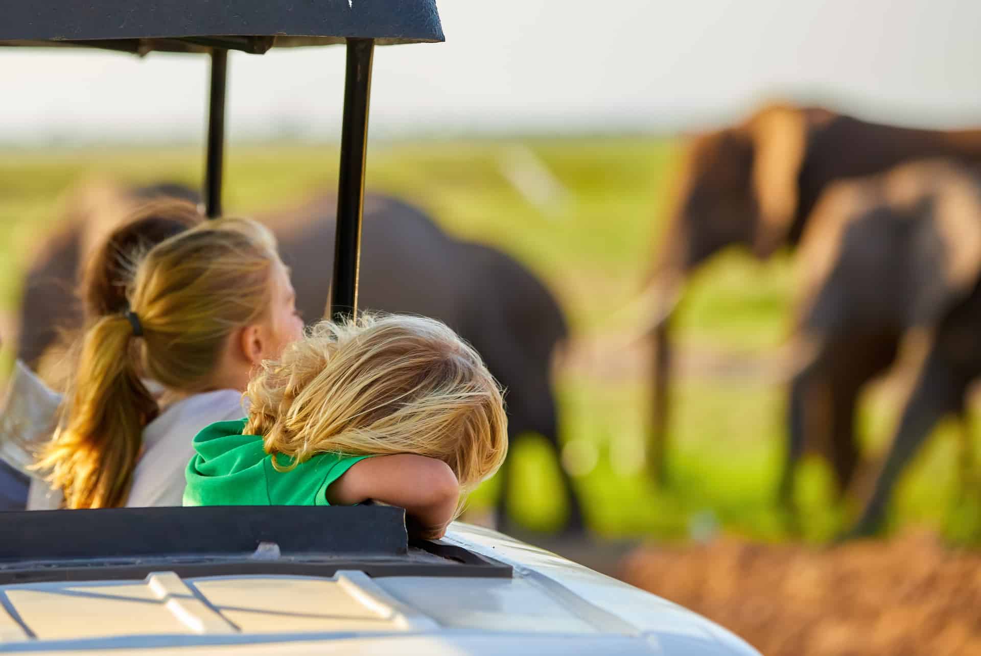 prix safari prix safari