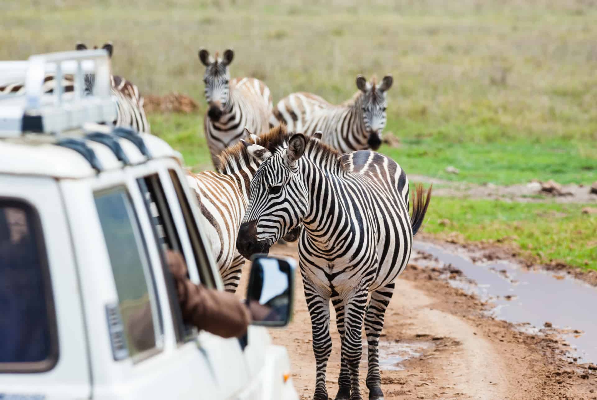 reduire prix safari kenya reduire prix safari kenya