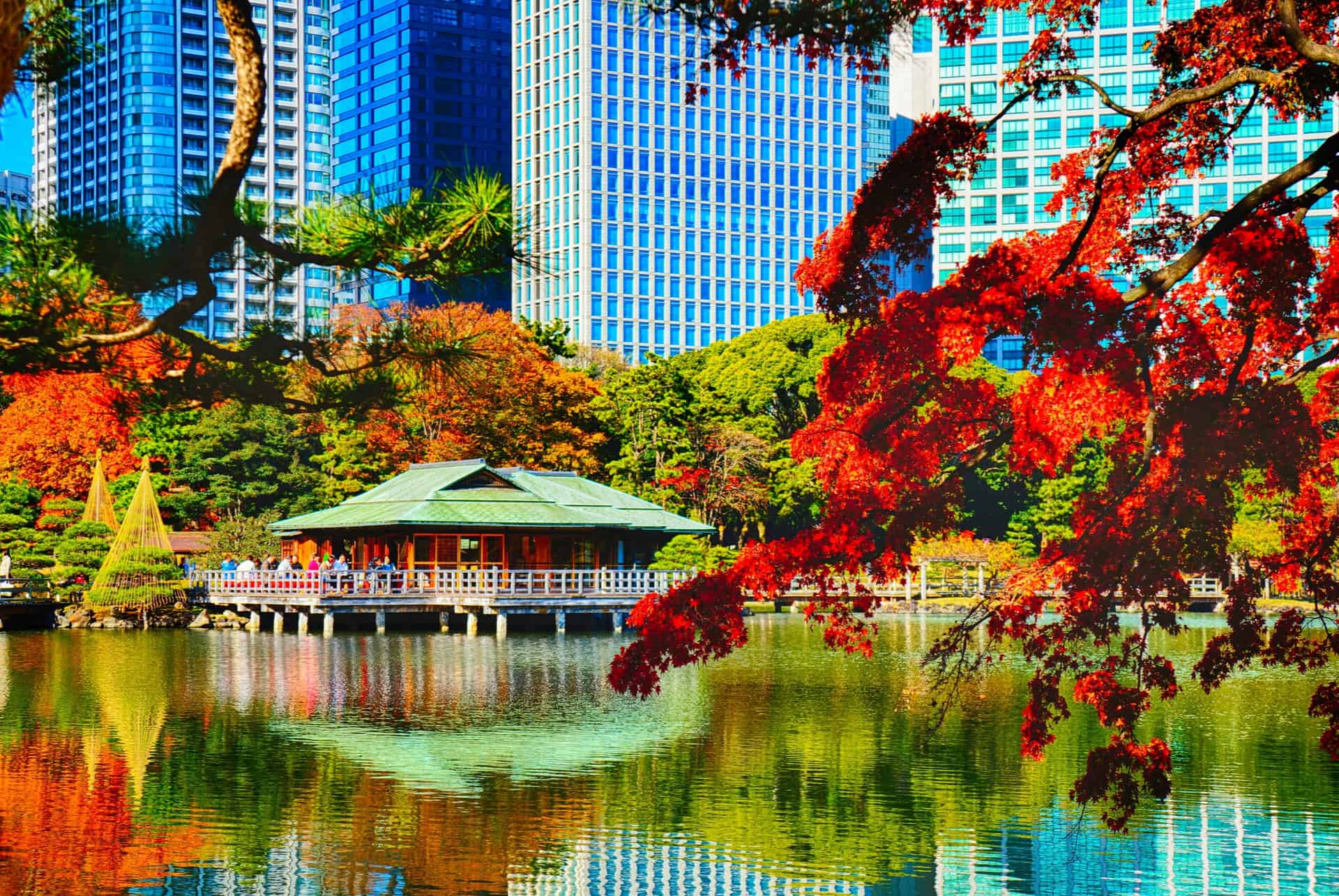 ou dormir shinagawa