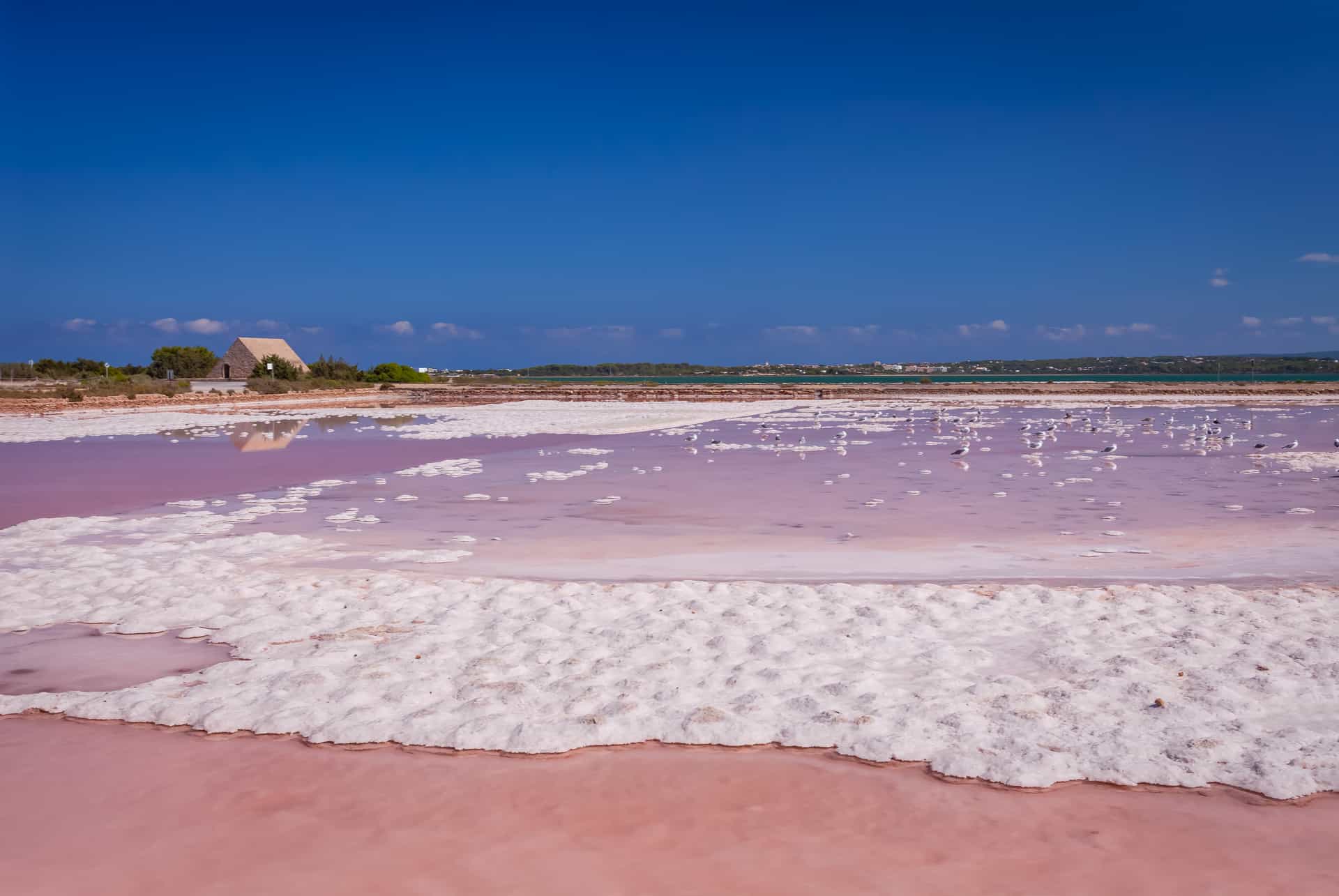 que faire formentera salines que faire formentera salines