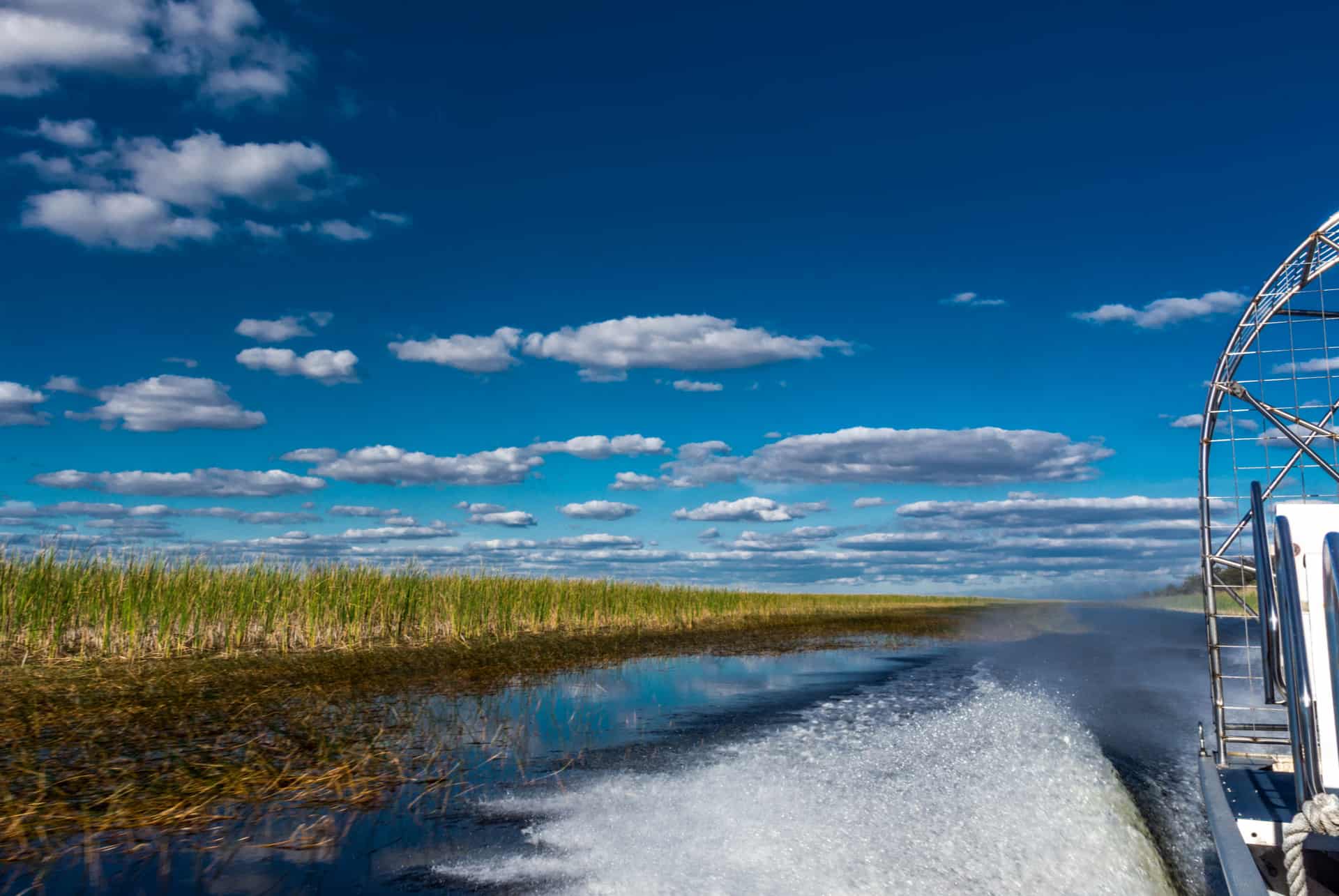 excursion en airboat excursion en airboat