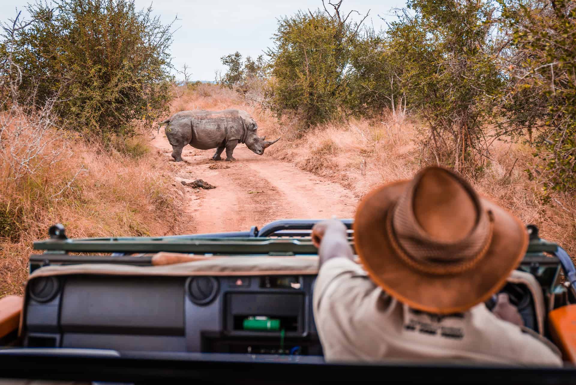 guide safari guide safari