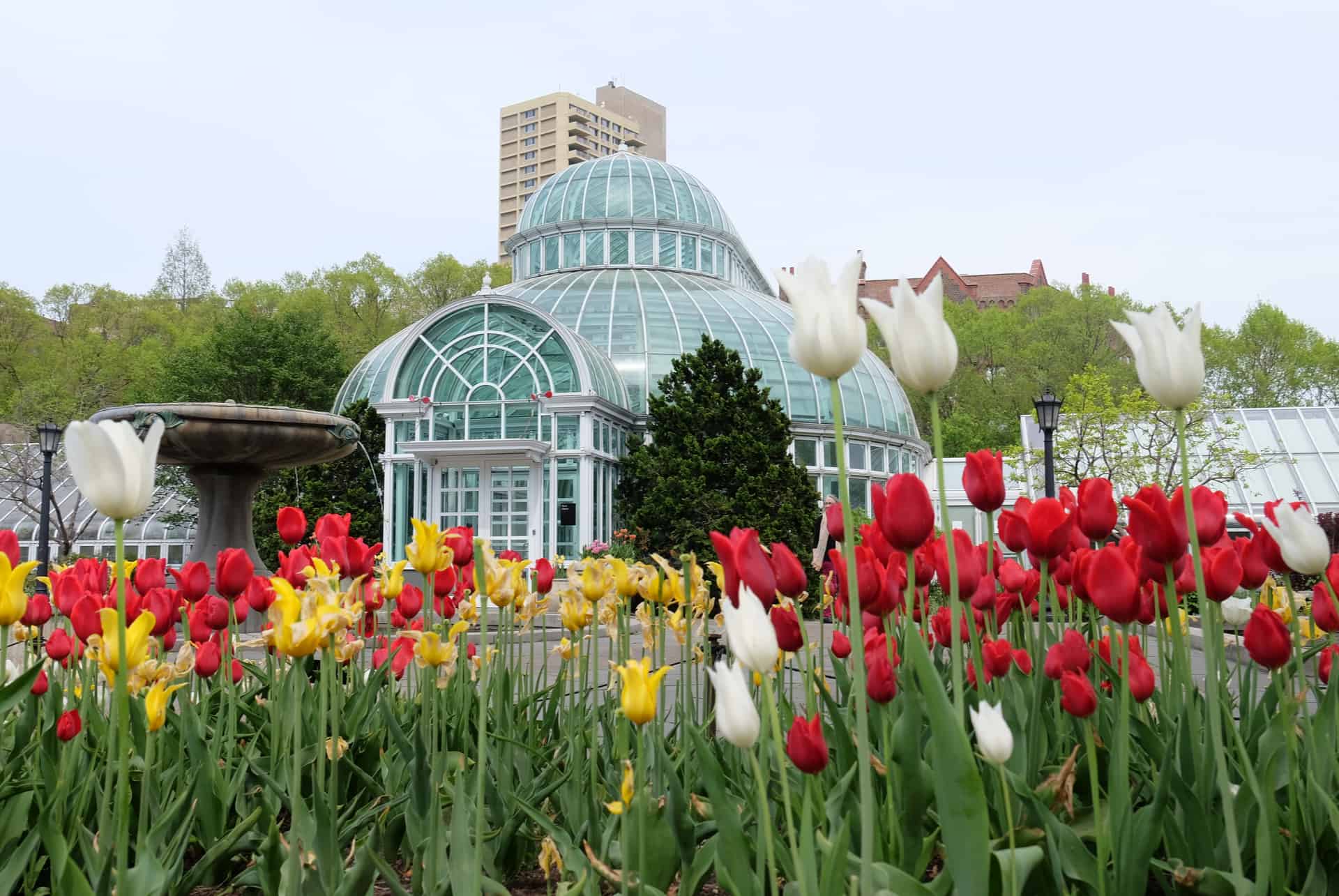jardin botanique de new york jardin botanique de new york