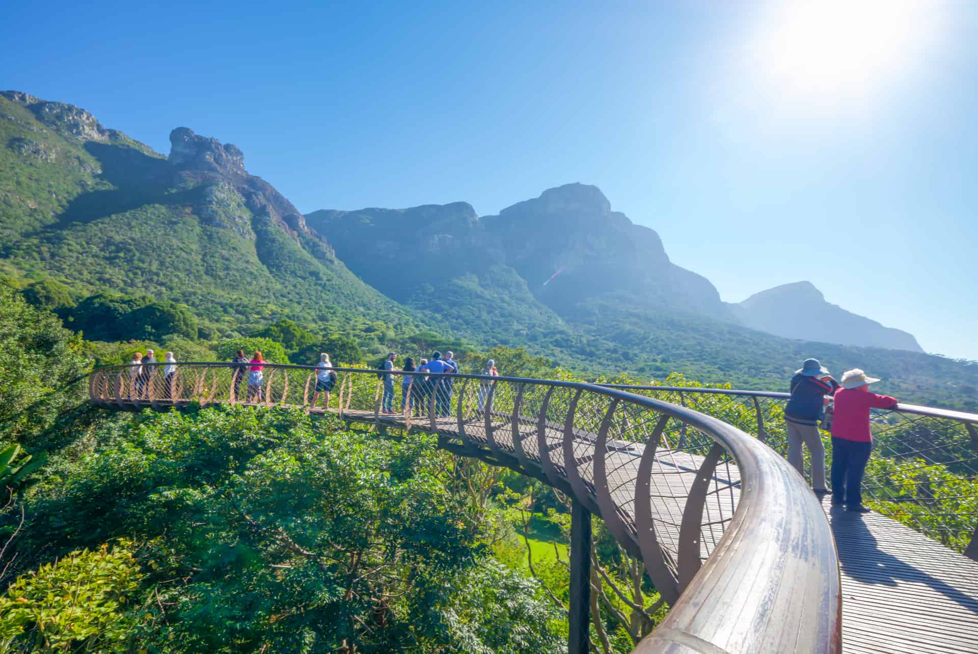jardins kirstenbosch