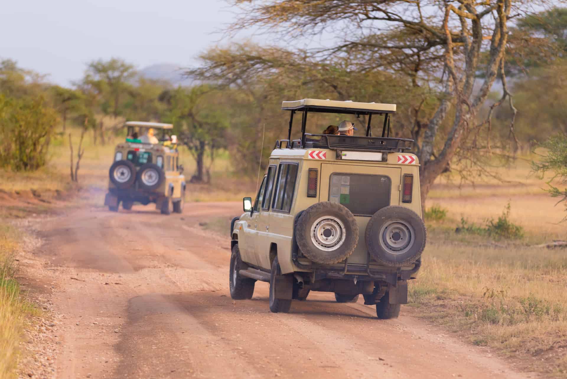louer un vehicule pour un safari en afrique louer un vehicule pour un safari en afrique