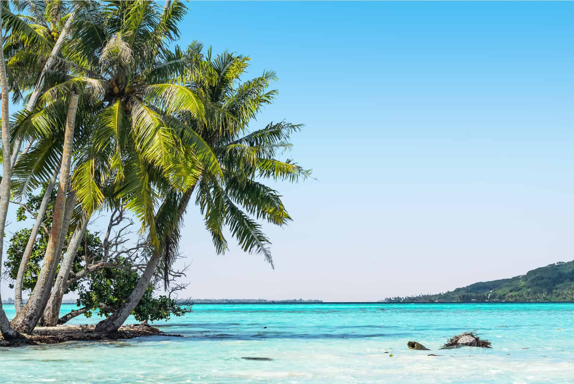 partir en polynesie francaise en fevrier que faire en polynesie francaise en fevrier