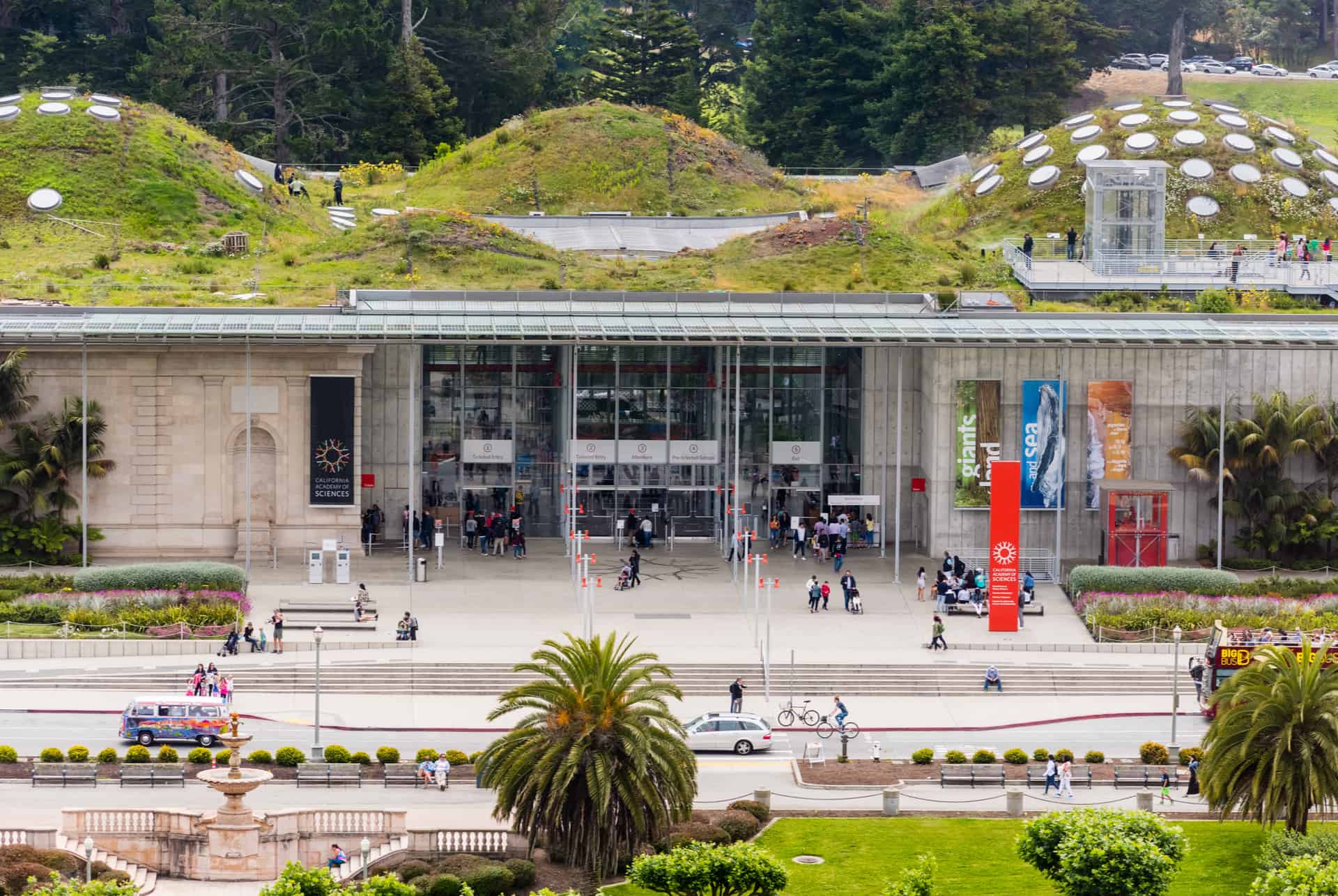 california academy of sciences california academy of sciences