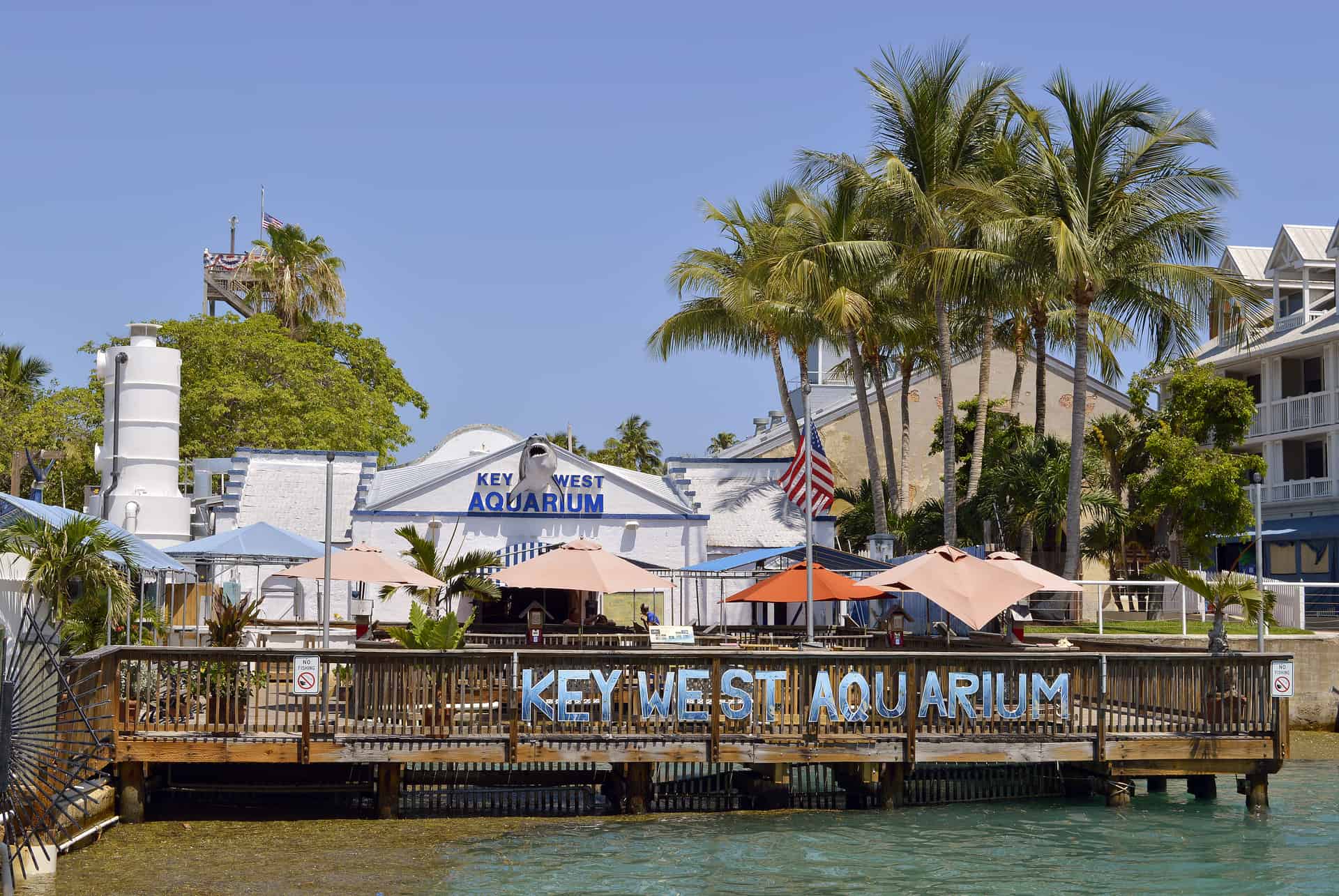 key west aquarium key west aquarium