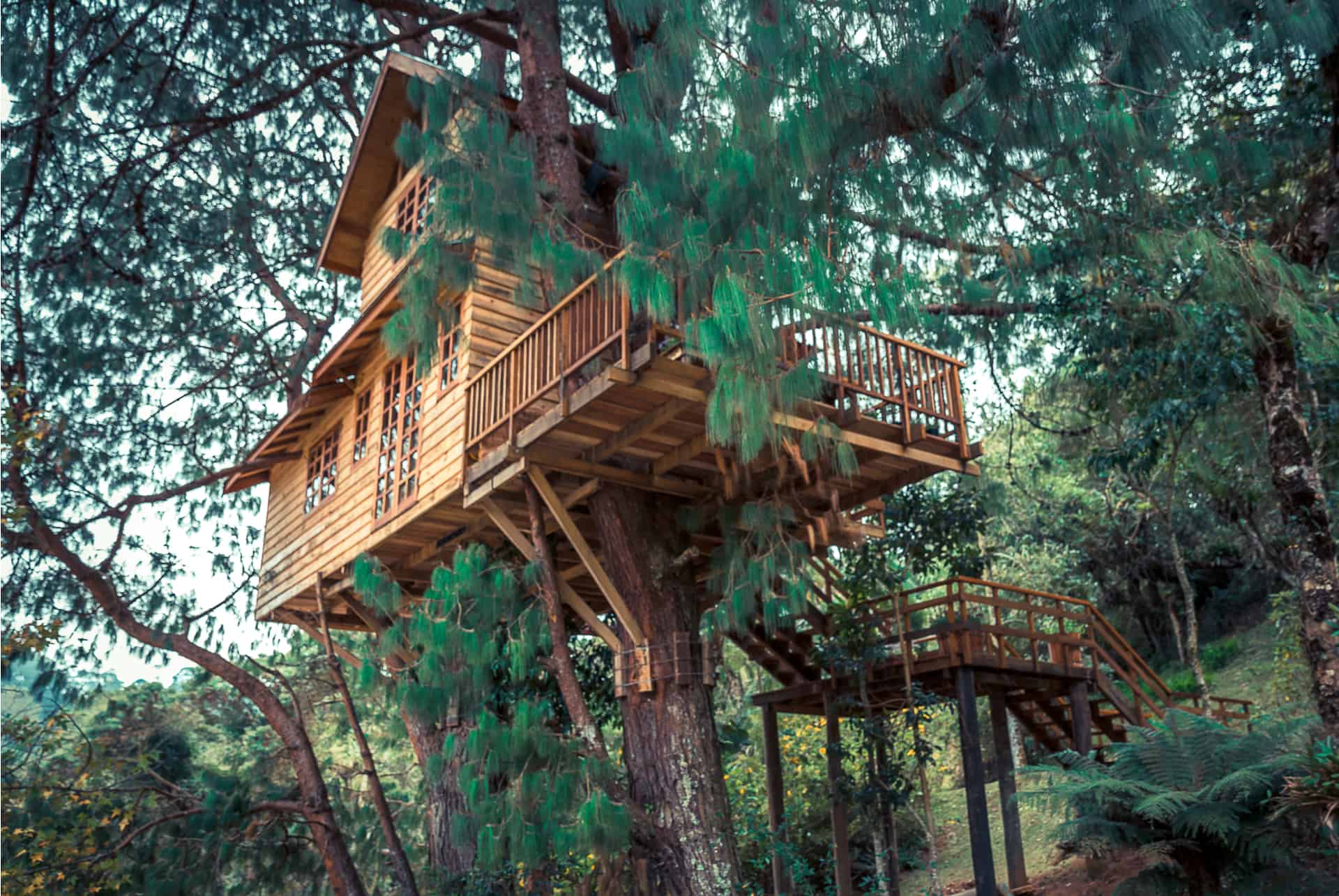 Cabane en bois perchée dans les arbres Cabane en bois perchée dans les arbres