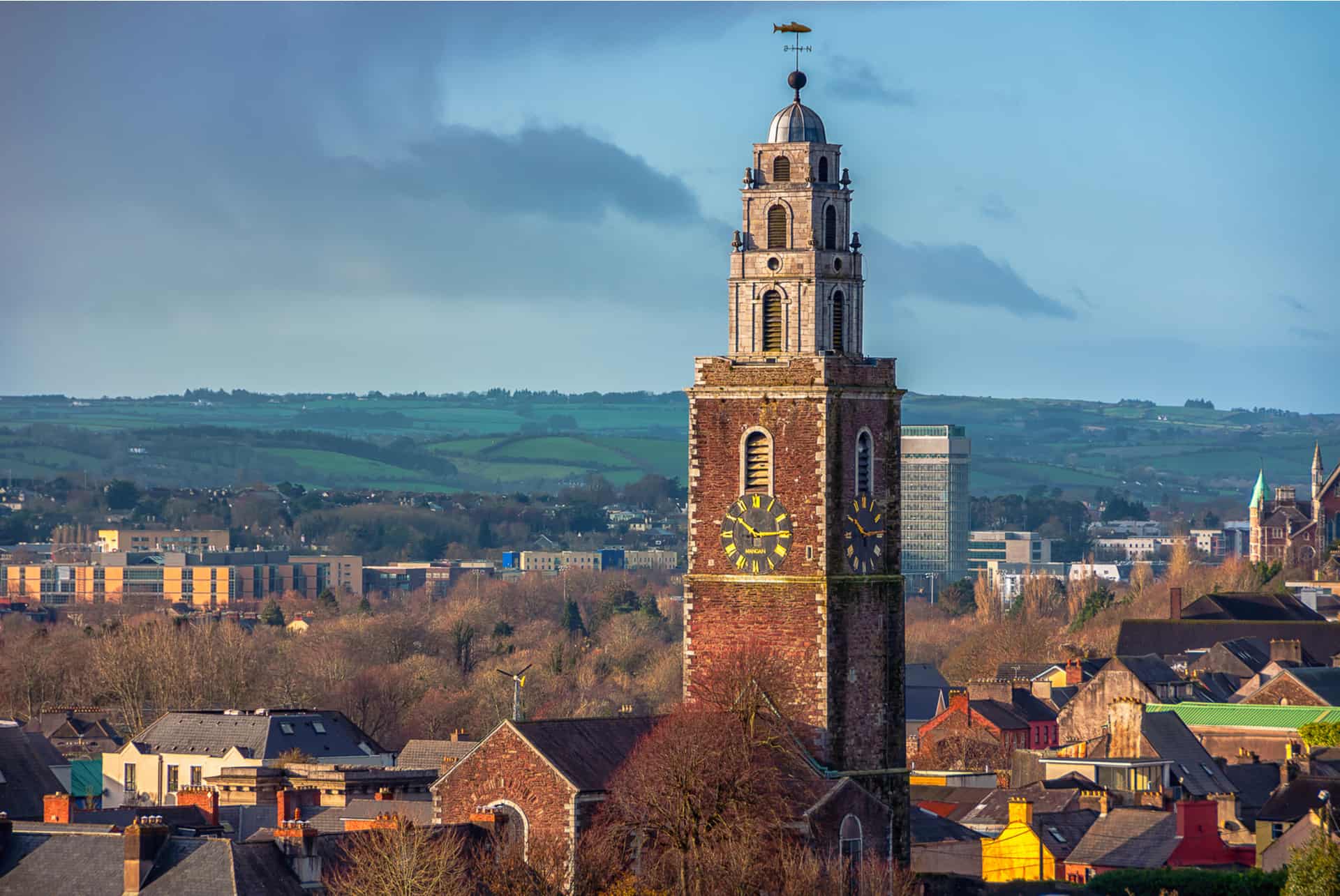 shandon cork shandon cork