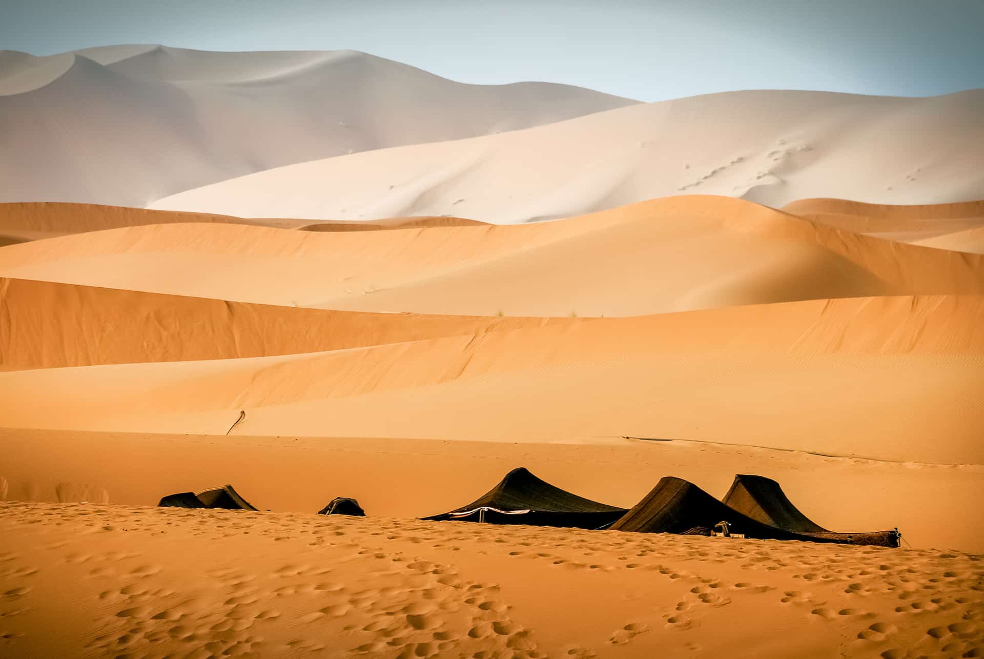 dunes sahara dunes sahara