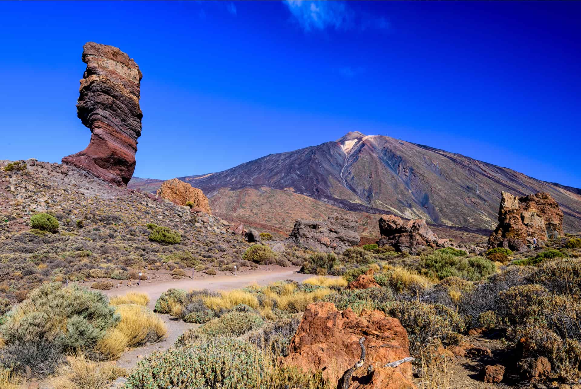 parc national du teide baleine tenerife