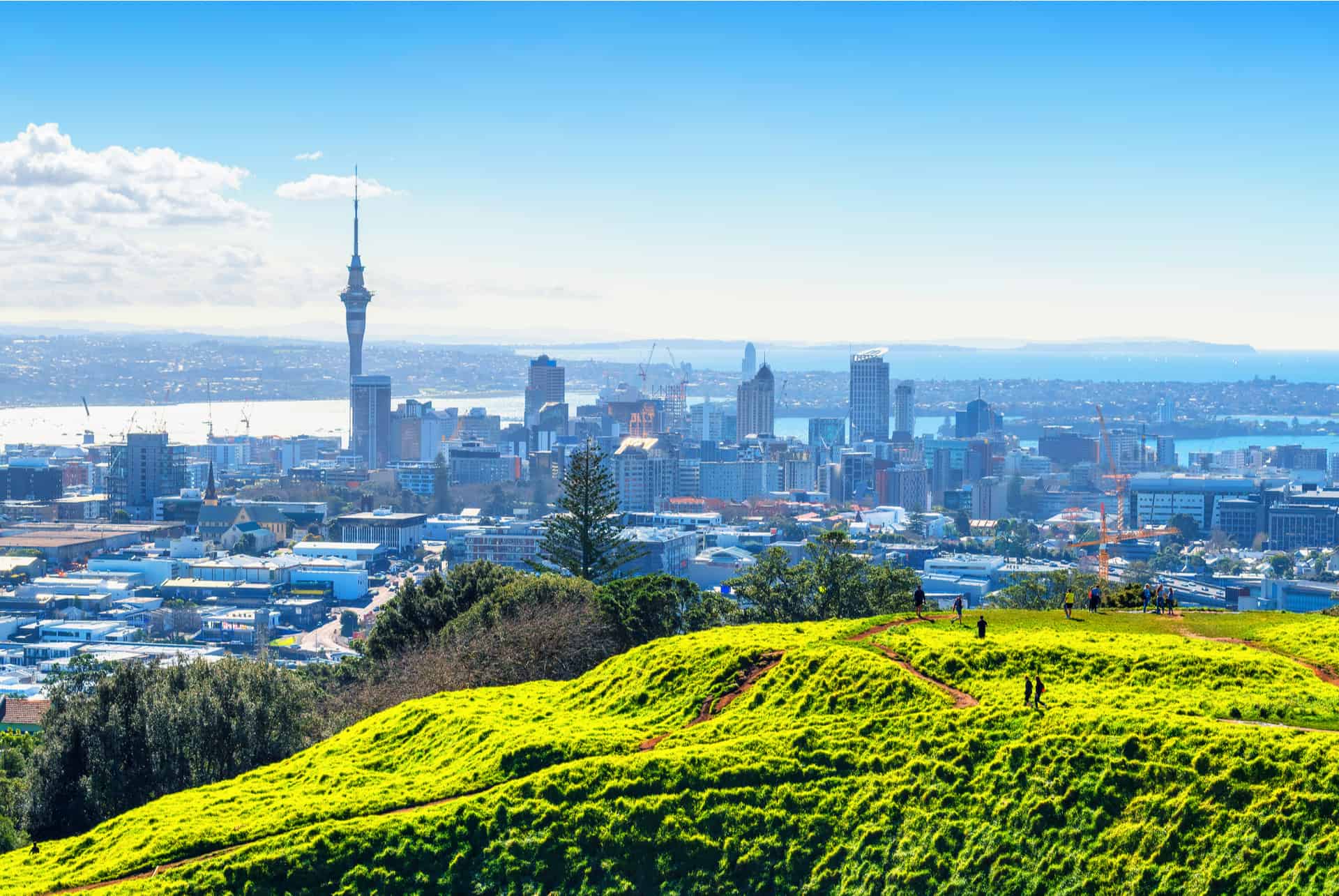 activites auckland activites auckland