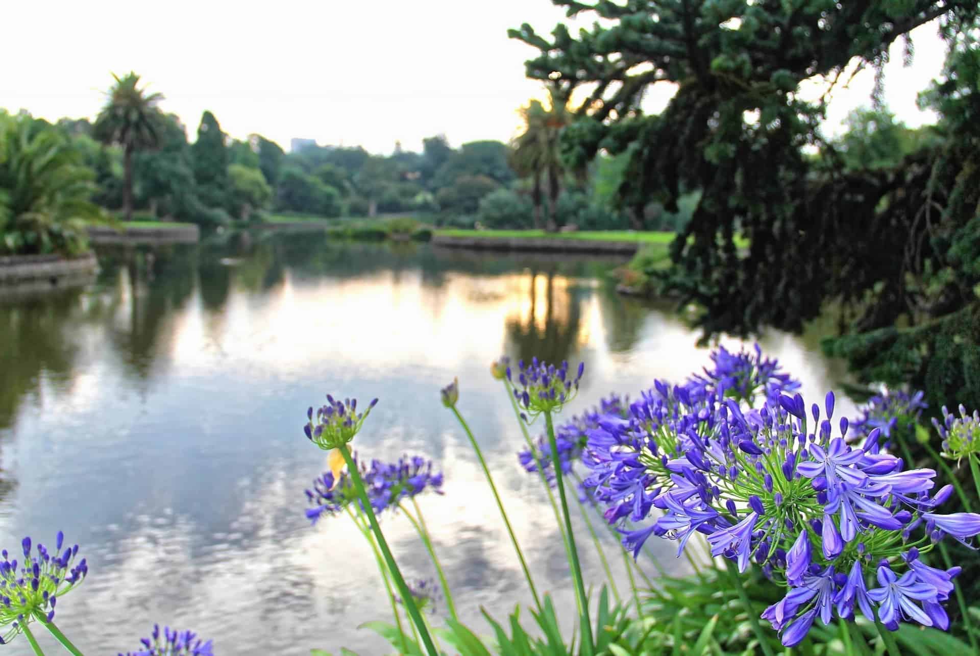 royal botanic gardens royal botanic gardens