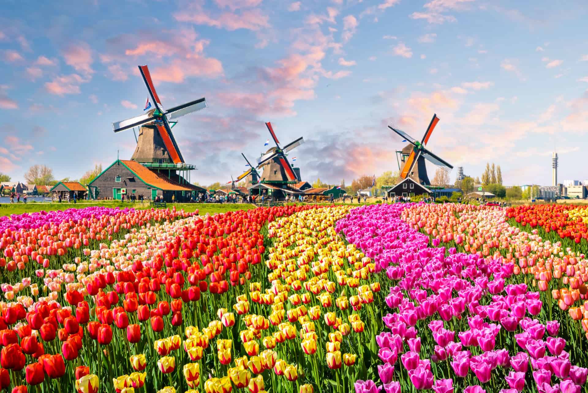 visiter keukenhof