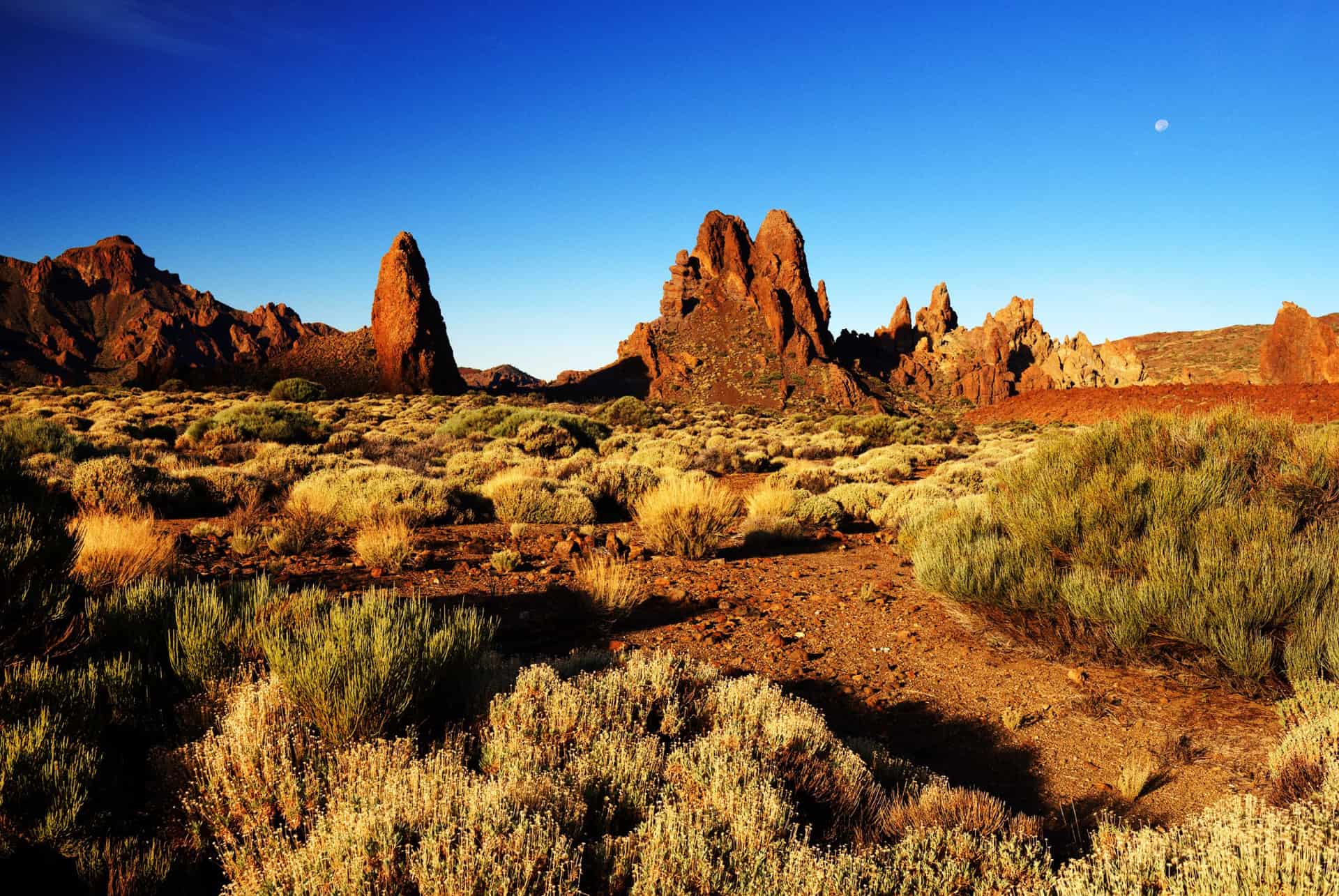 que faire tenerife que faire tenerife