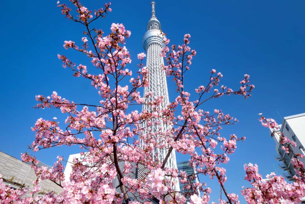 skytree tokyo prix pour un voyage au japon
