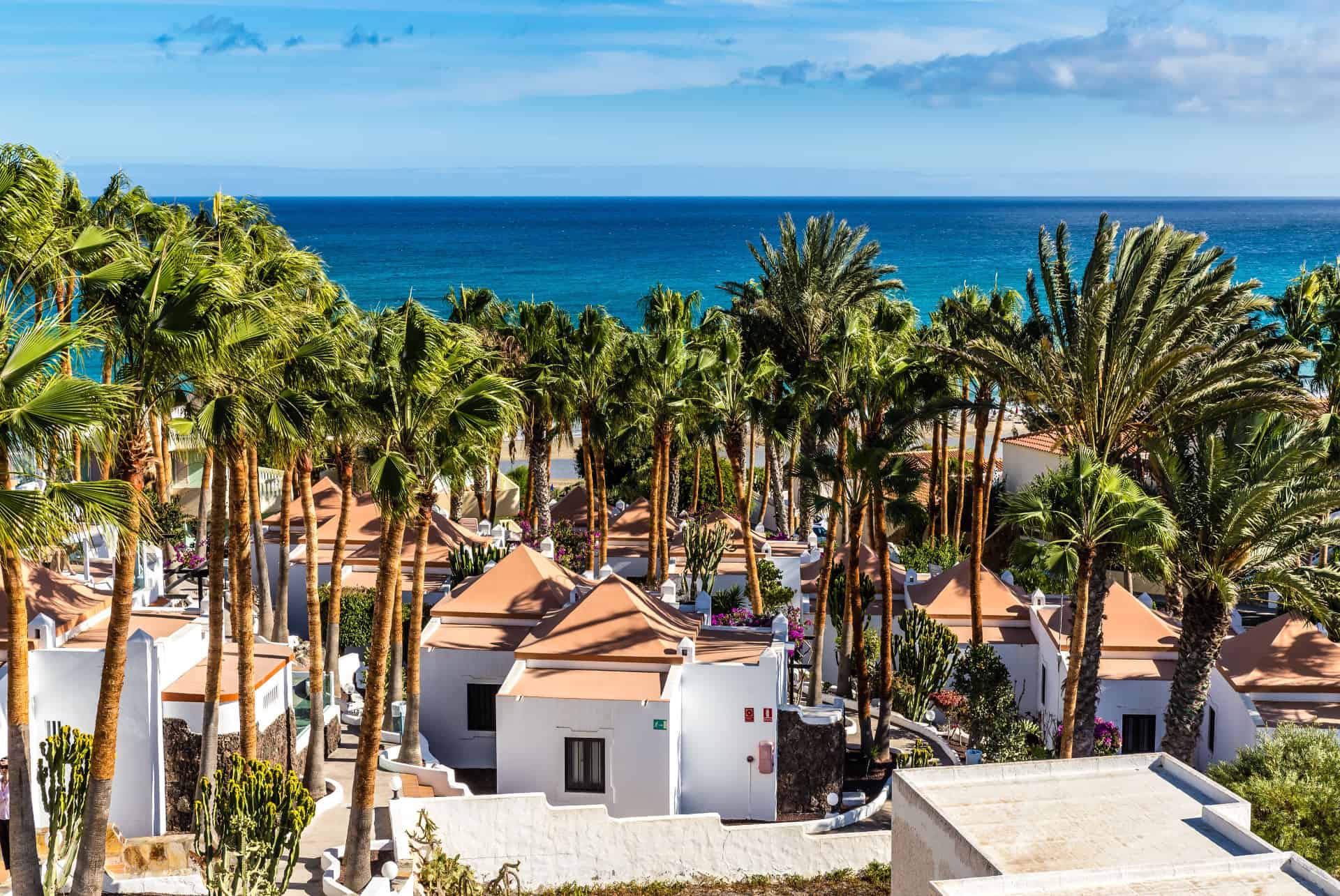 logements costa calma logements costa calma