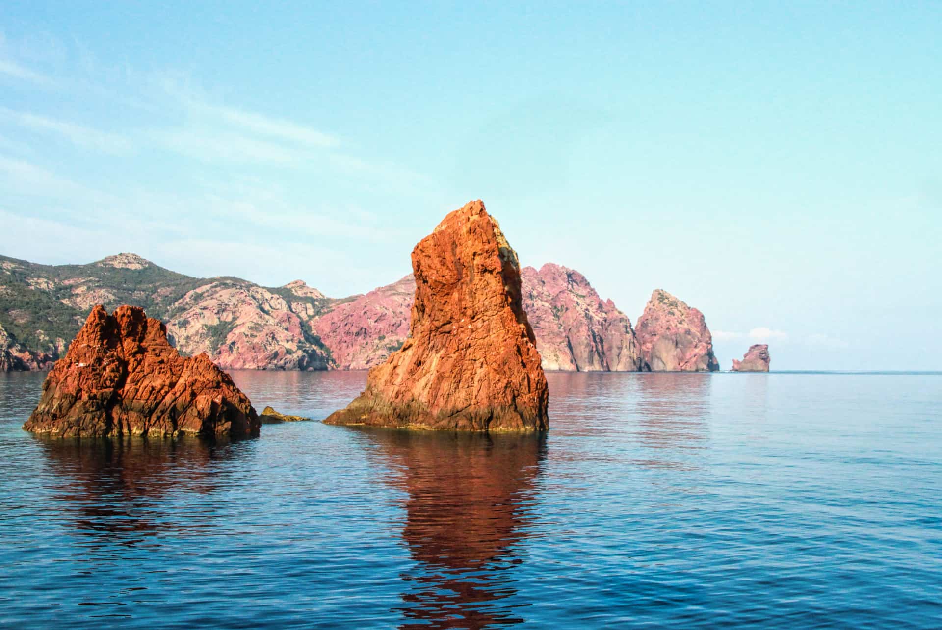 reserve scandola que faire ajaccio reserve scandola que faire ajaccio