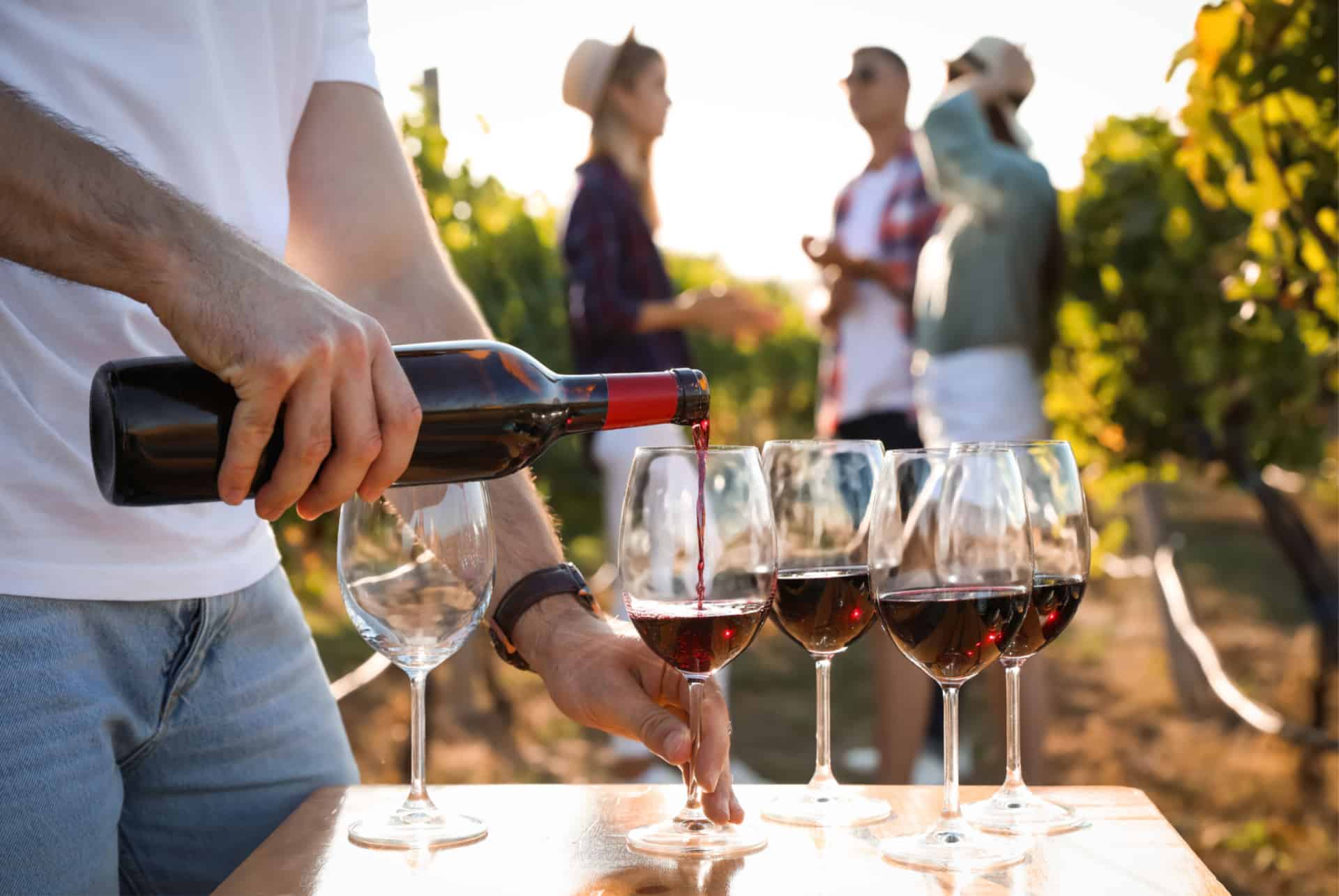 degustation vin degustation vin