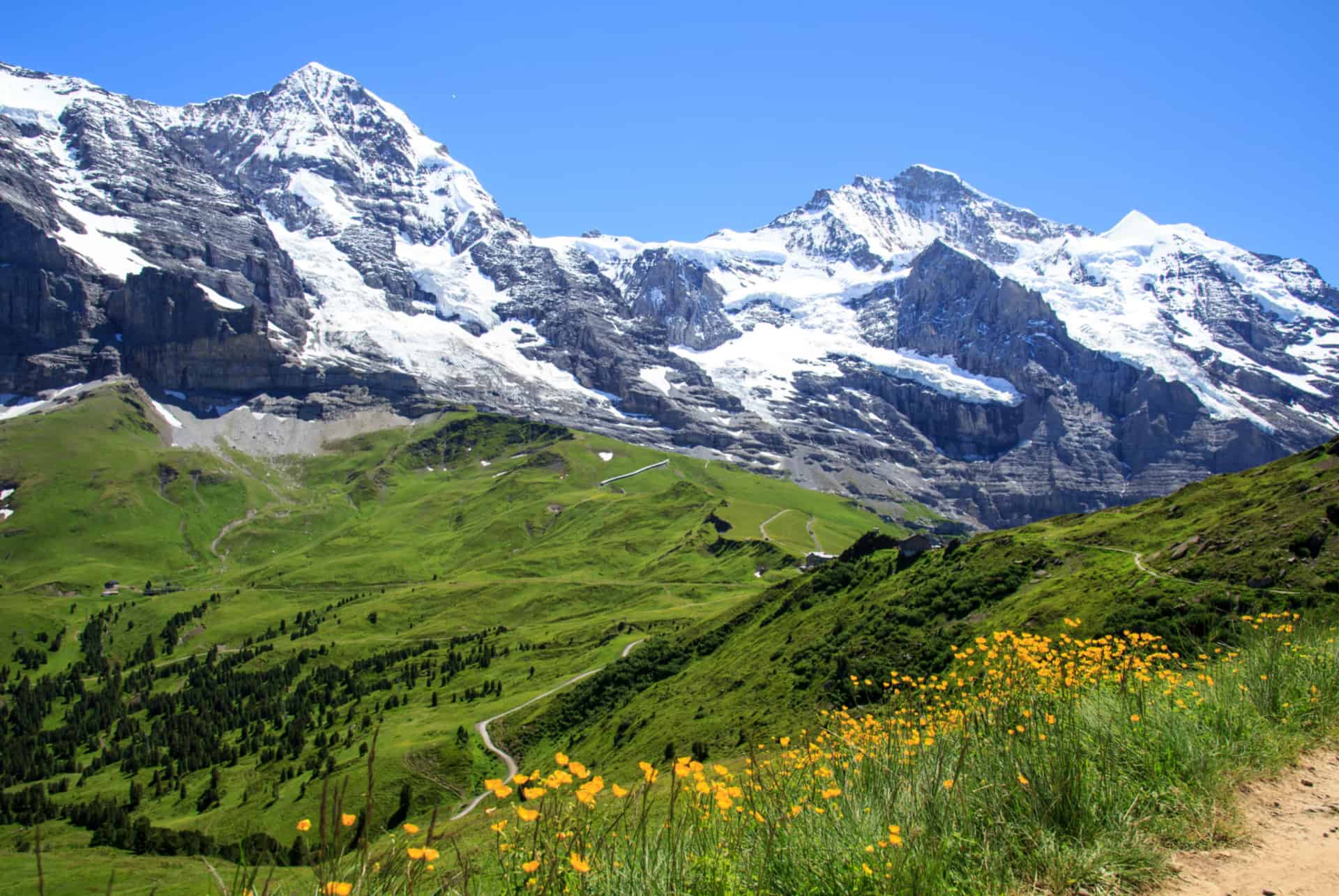mannlichen en suisse mannlichen en suisse