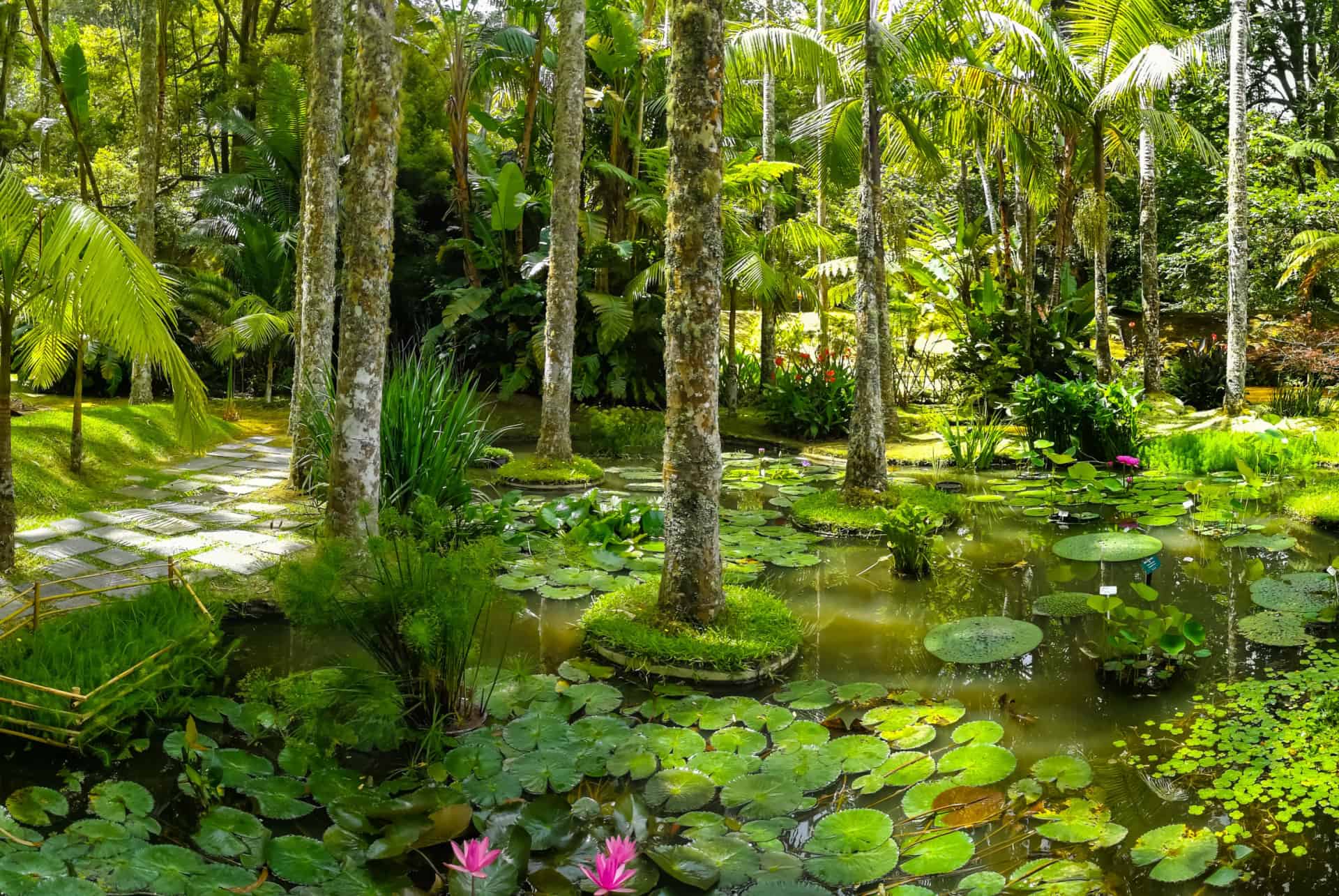 parc terra nostra visiter les acores parc terra nostra visiter les acores
