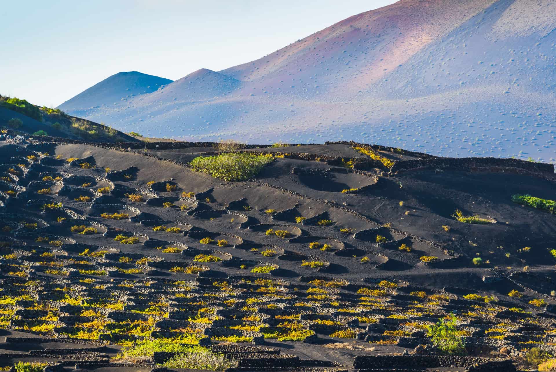 vignes et routes lanzarote vignes et routes lanzarote