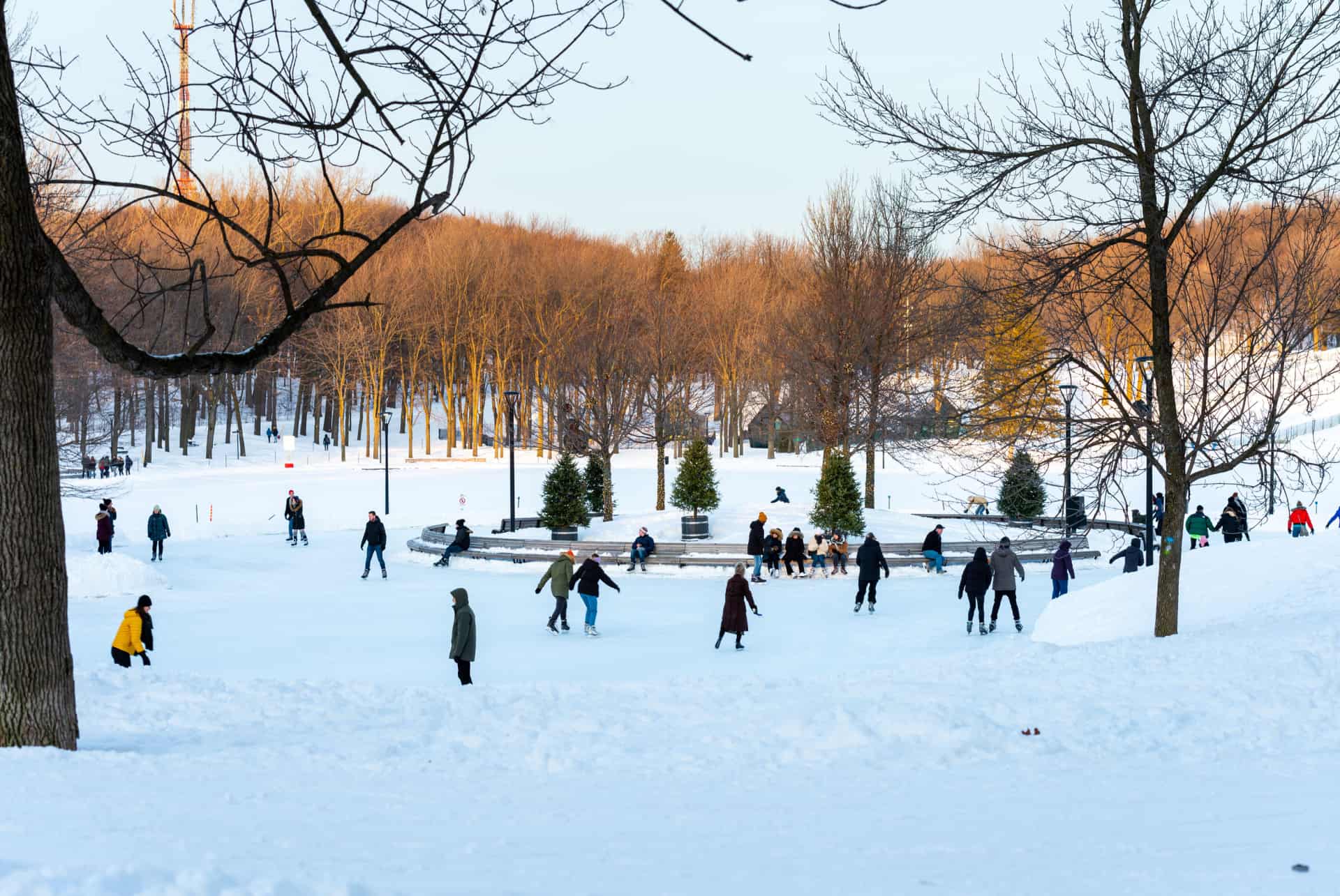 hiver parc mont royal hiver parc mont royal
