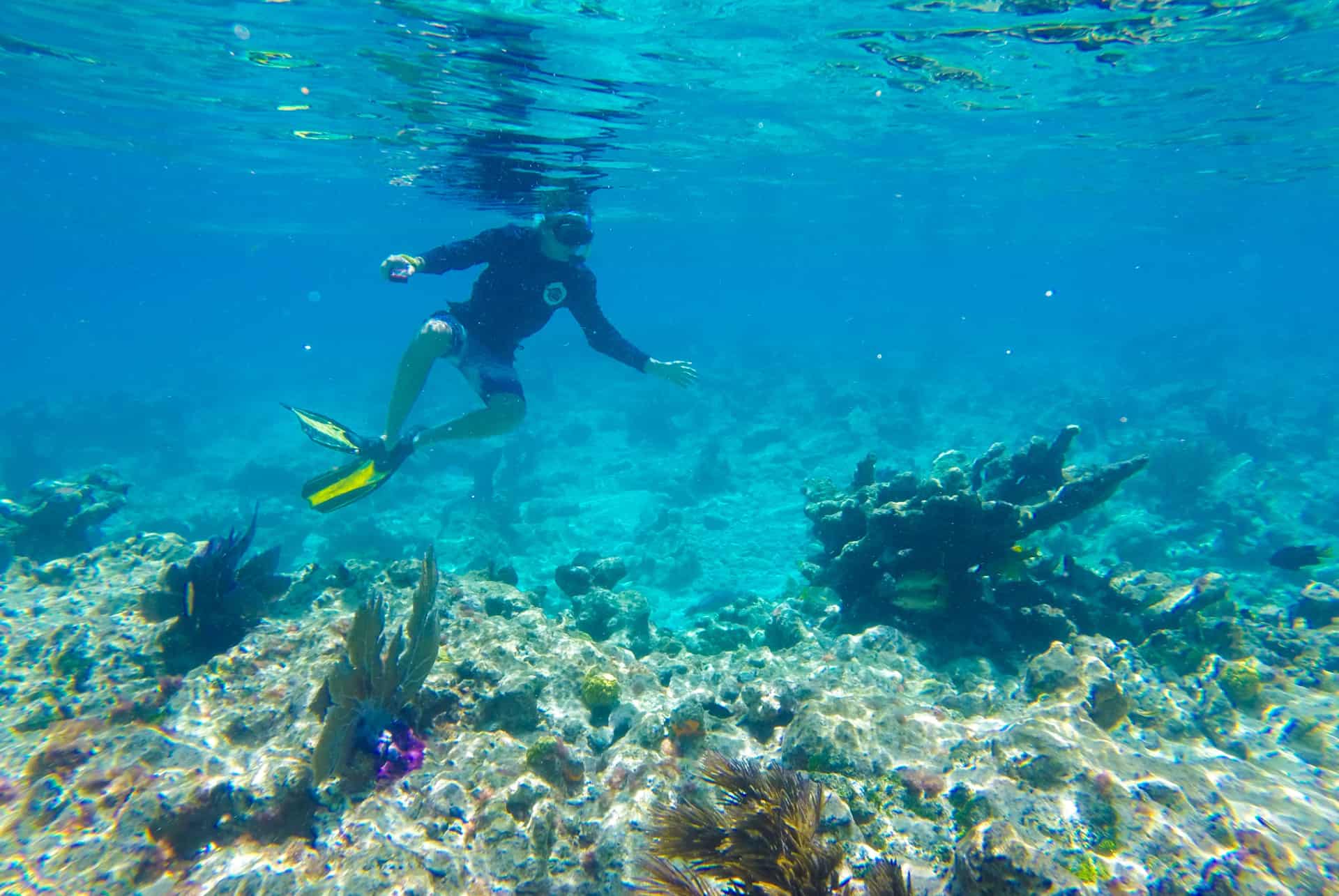 snorkeling cap vert snorkeling cap vert