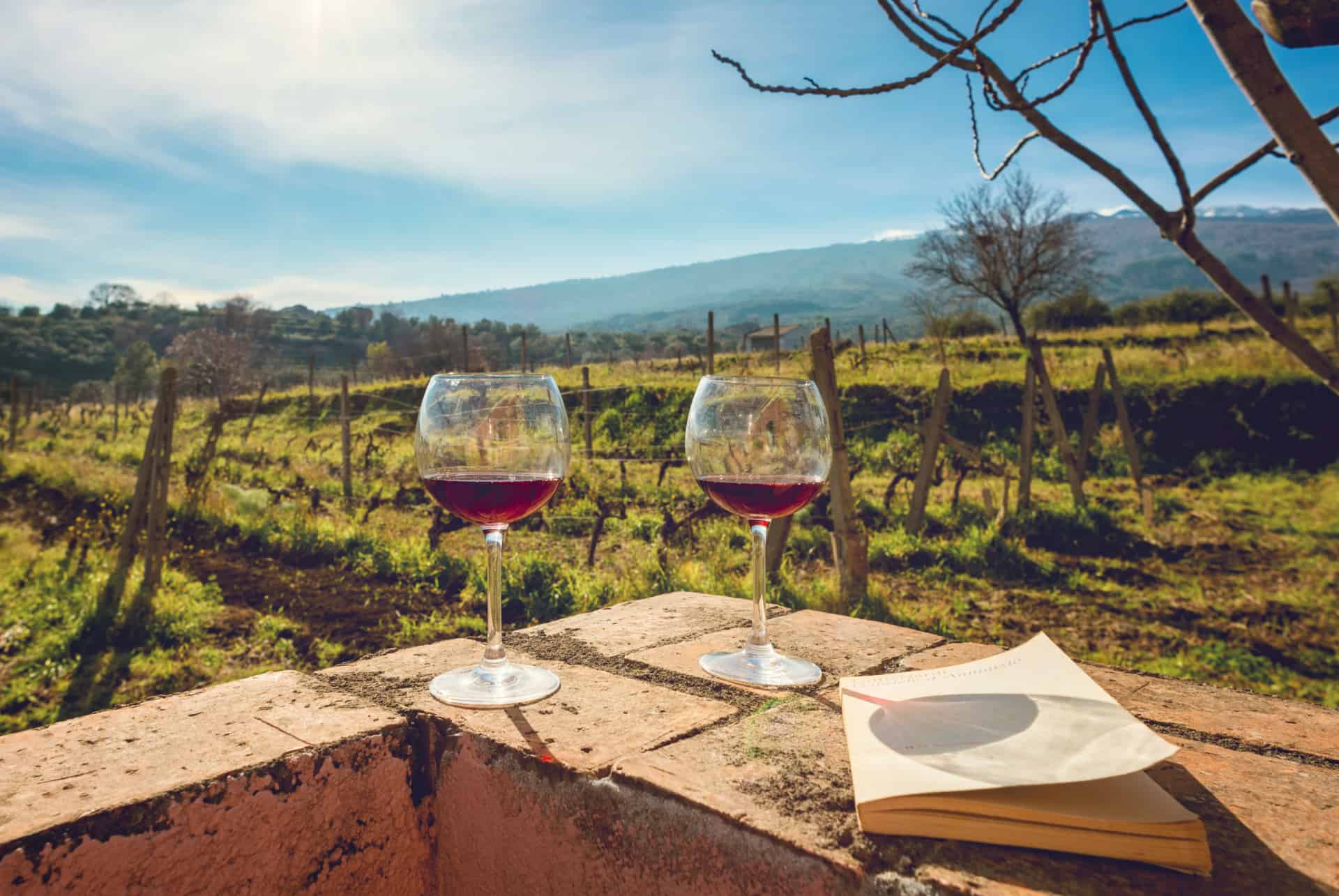 vins etna vins etna
