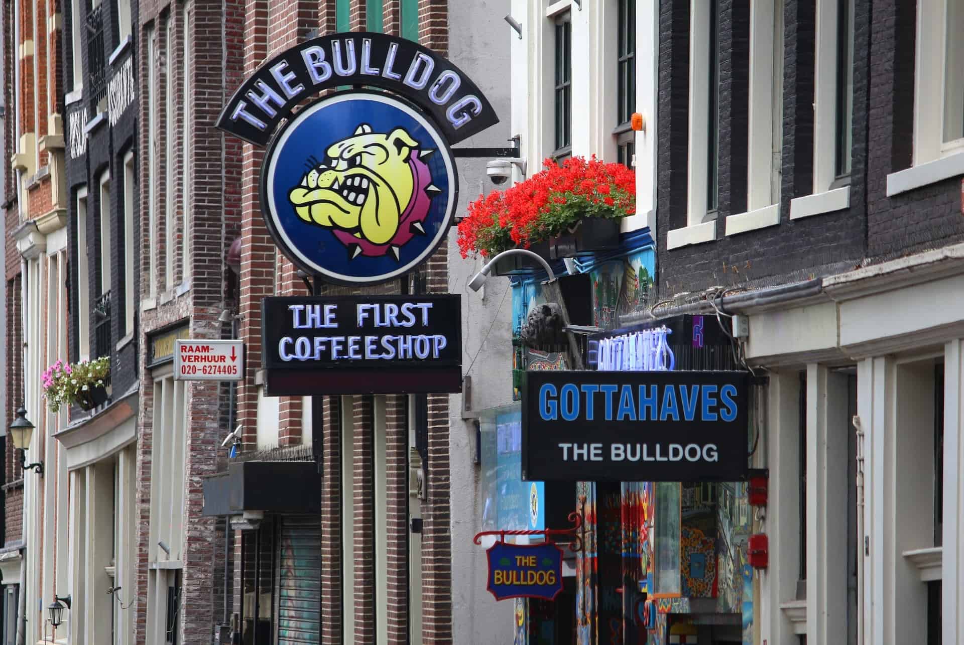 fin coffee shops amsterdam fin coffee shops amsterdam