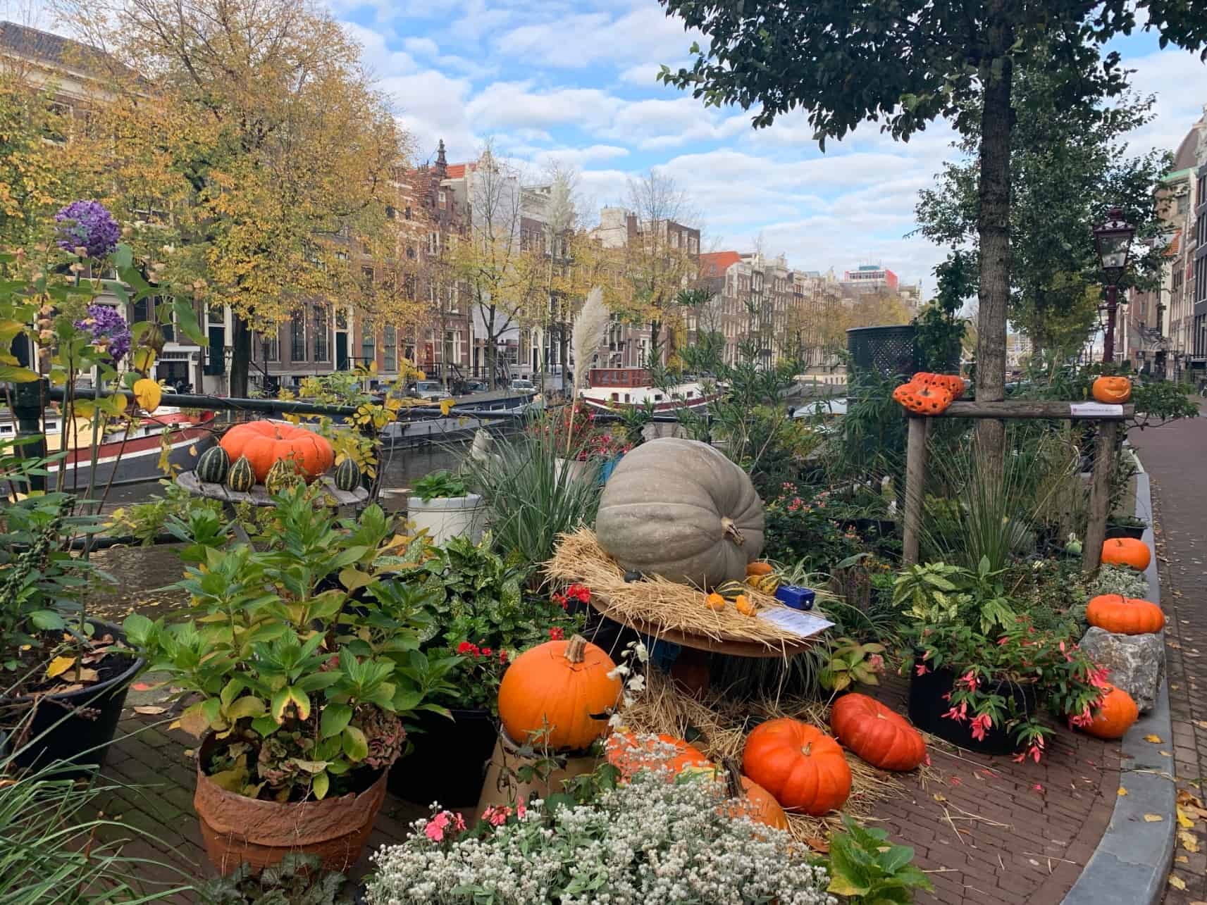 halloween a amsterdam halloween