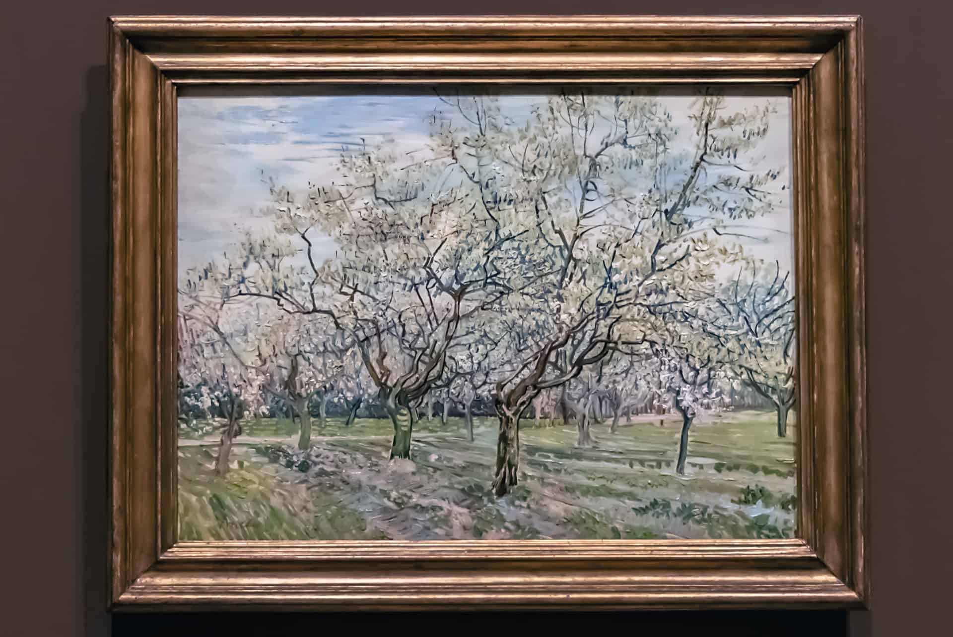 musee van gogh