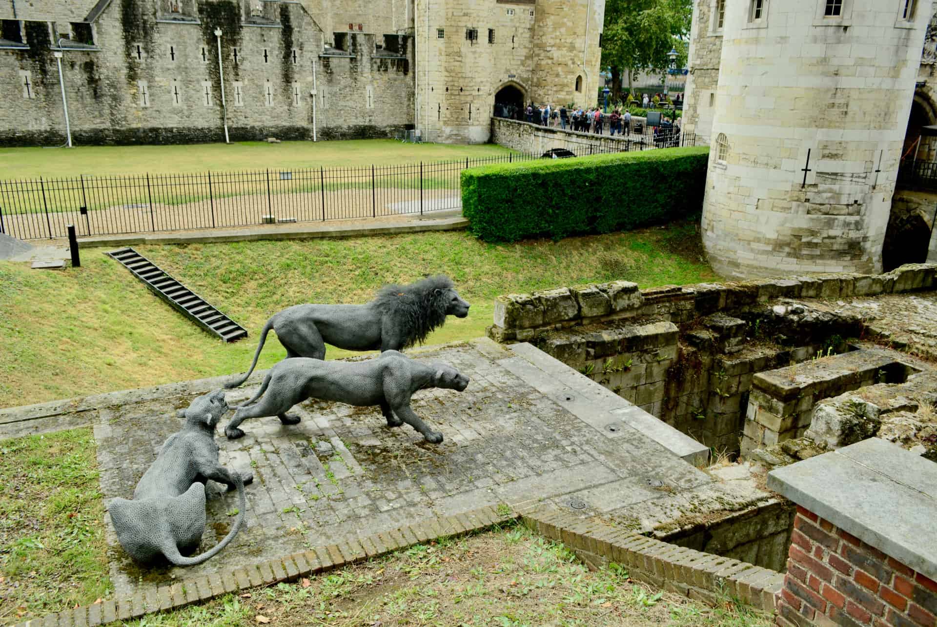 visiter tour de londres menagerie visiter tour de londres menagerie