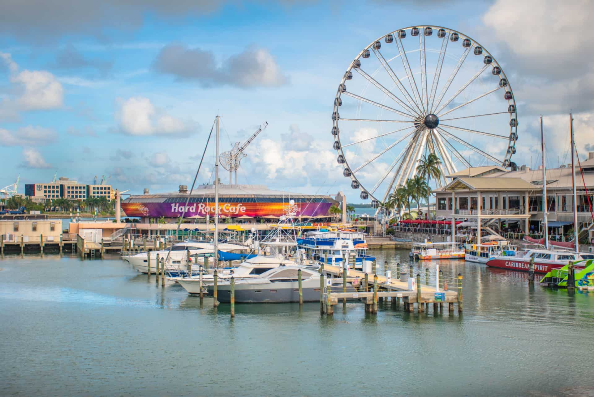 roue miami roue miami