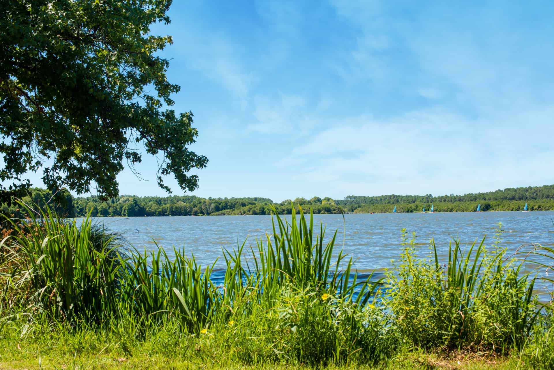 lac de soustons lac de soustons landes